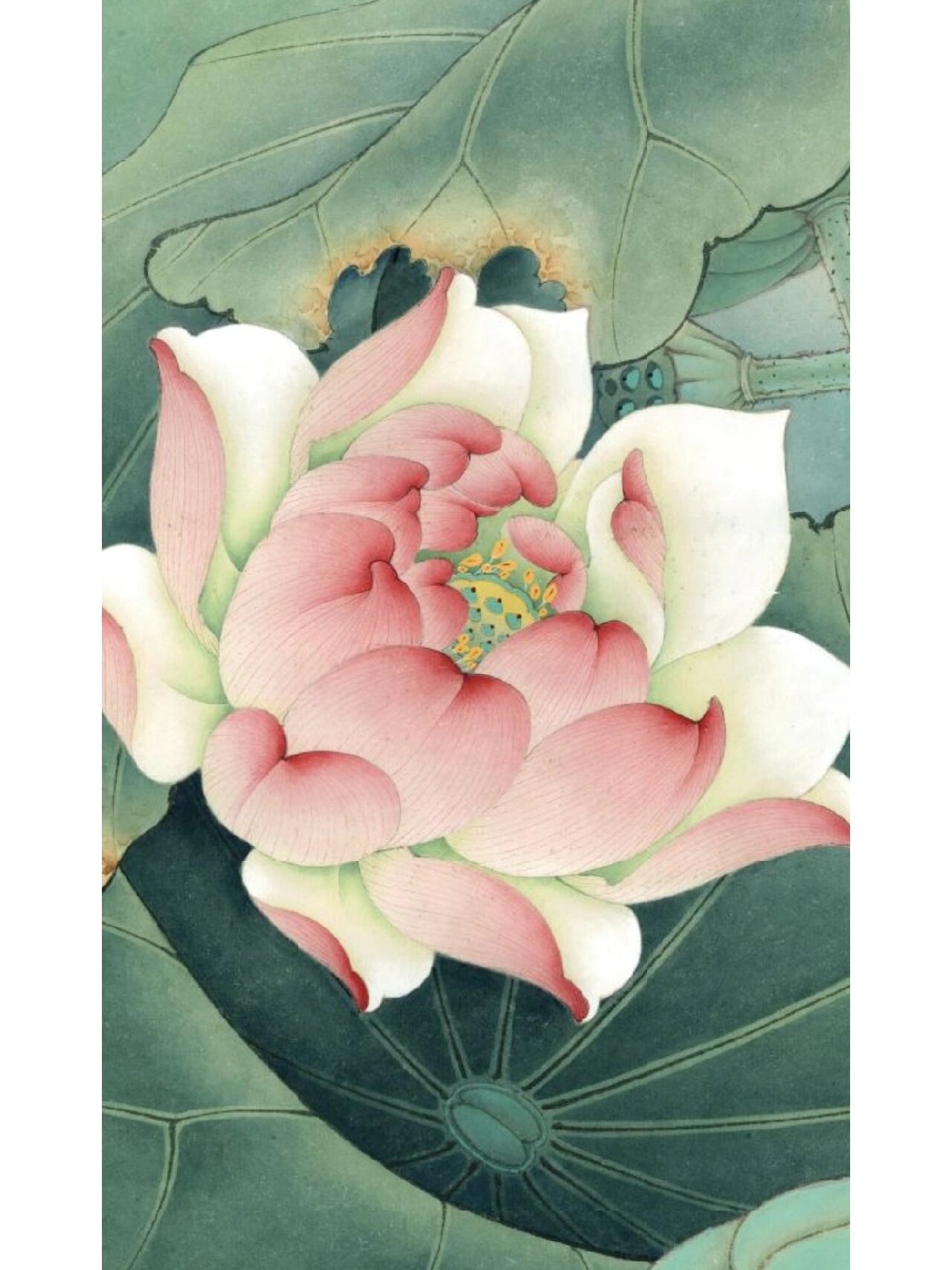 李晓明工笔【荷花翠鸟】