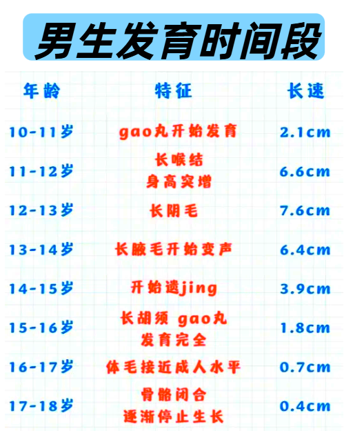 这个发育过程可以分成几个阶段:婴儿期,幼儿期,学龄前期,学龄期和青春