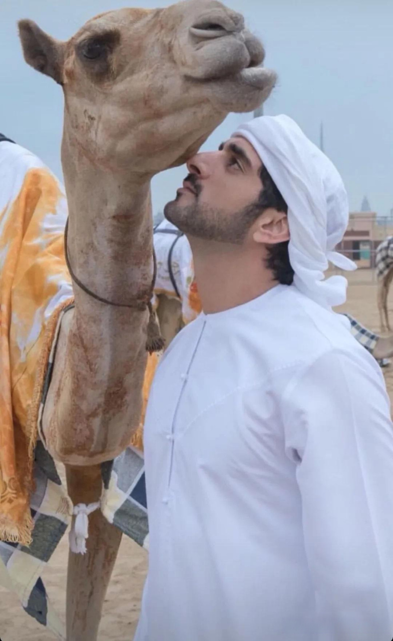 迪拜王储哈曼丹和他心爱的骆驼.