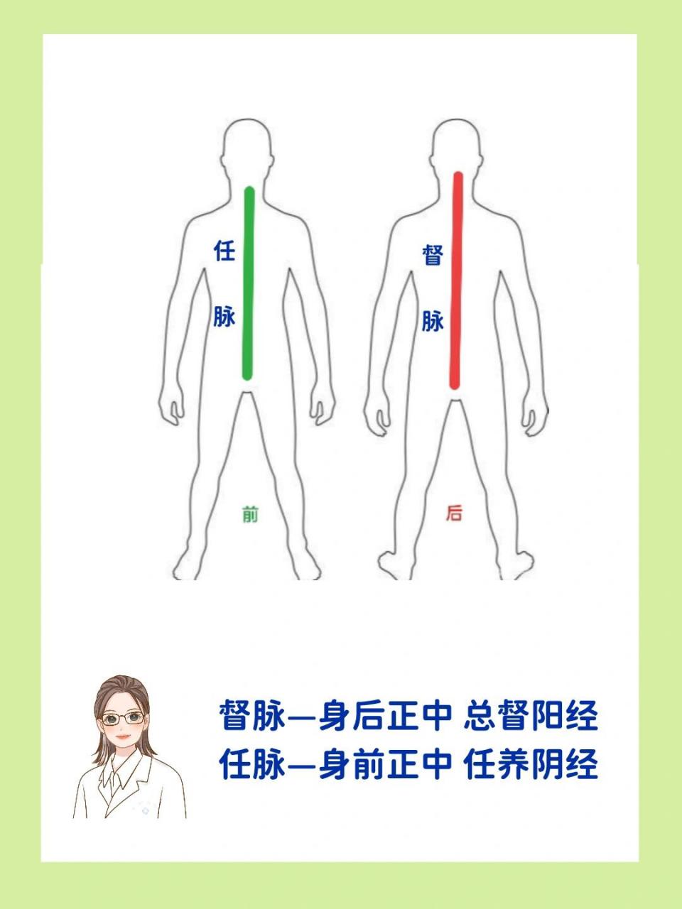 秒学任督二脉—一个圈而已 学了十二经络,就不得不提到任督二脉了,