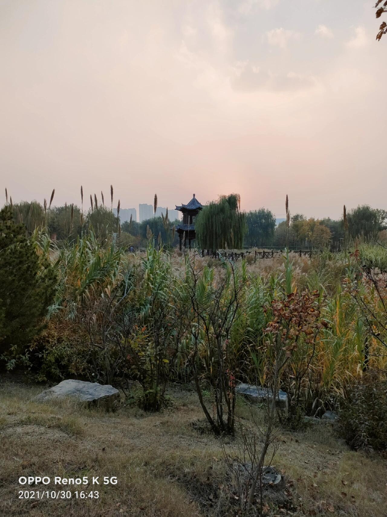 山东旅游职业学院旅游攻略 学校位于济南市章丘大学城,是国家aaa级