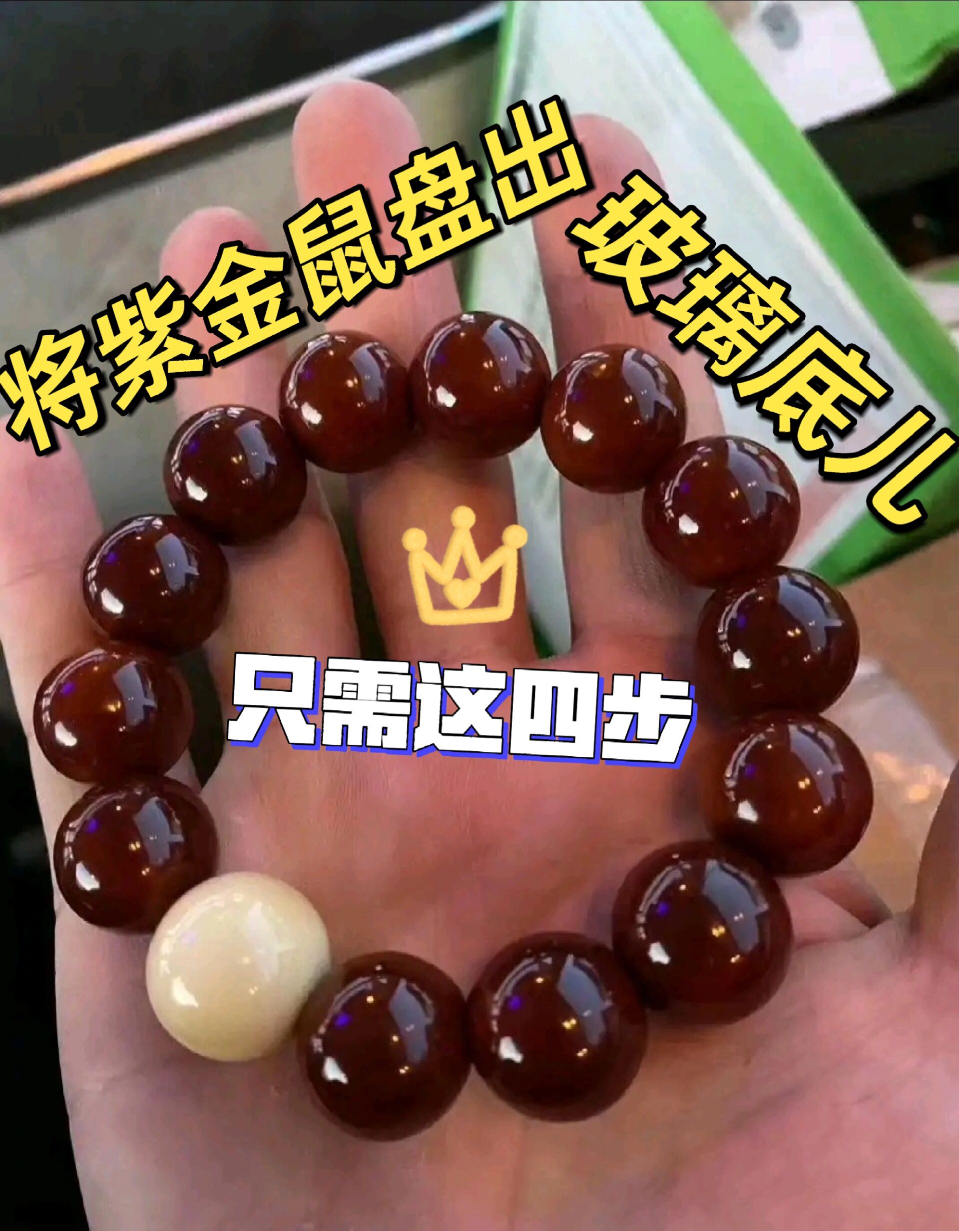 紫金鼠必出玻璃底盘玩教学6015