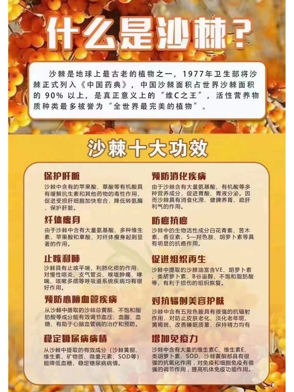 沙棘的十大功效       【防癌抗癌】 沙棘中的生物活性成份白花青素