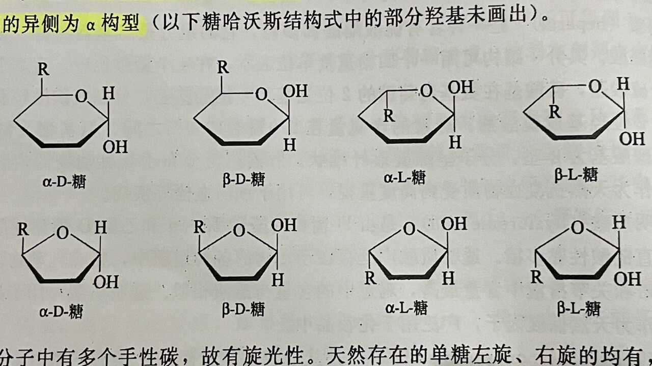中药化学——糖和苷类化合物 一,糖类化合物 1
