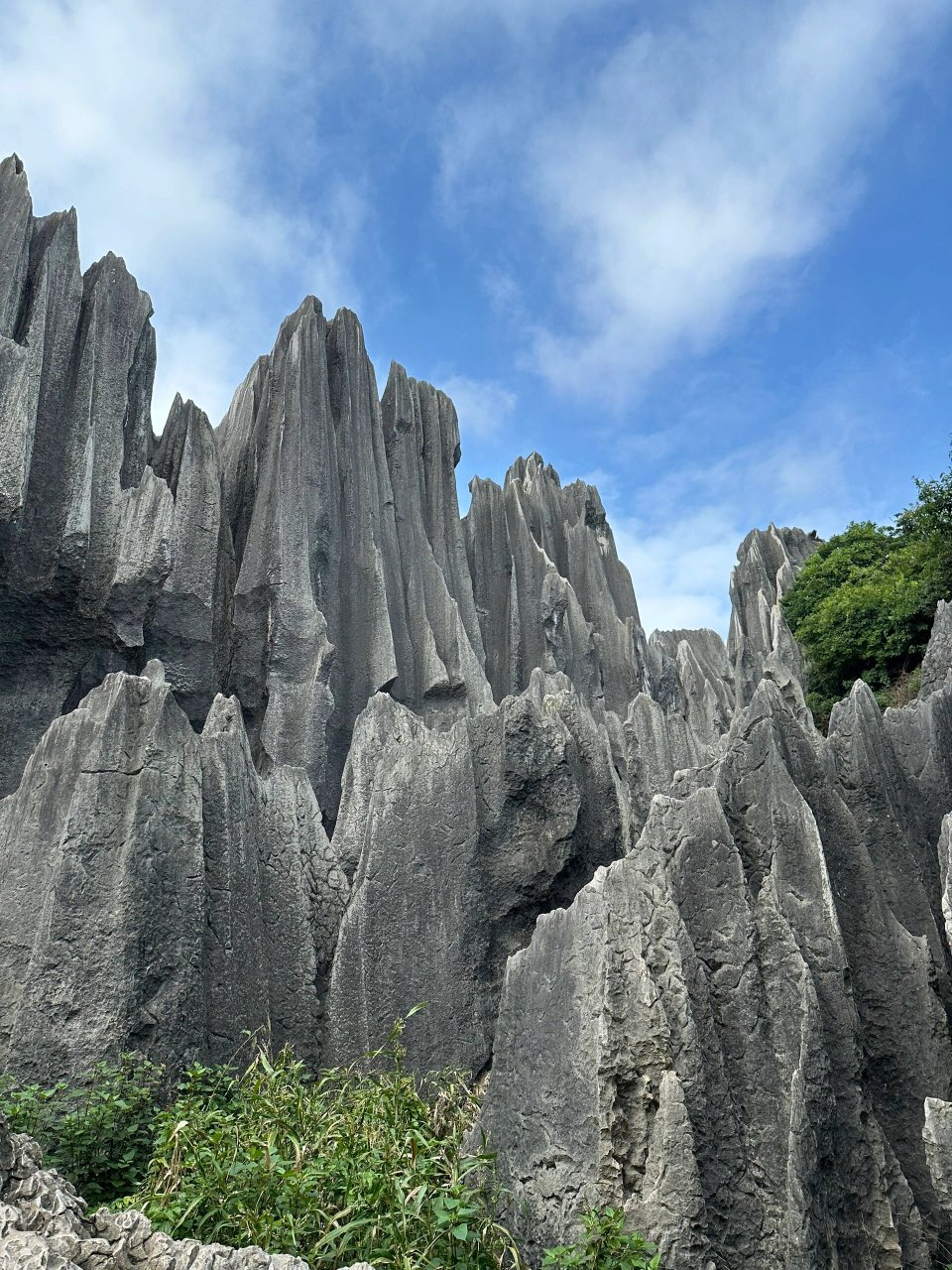 9899 云南昆明石林风景区 0699 与妈妈来中国七彩云南 8天之