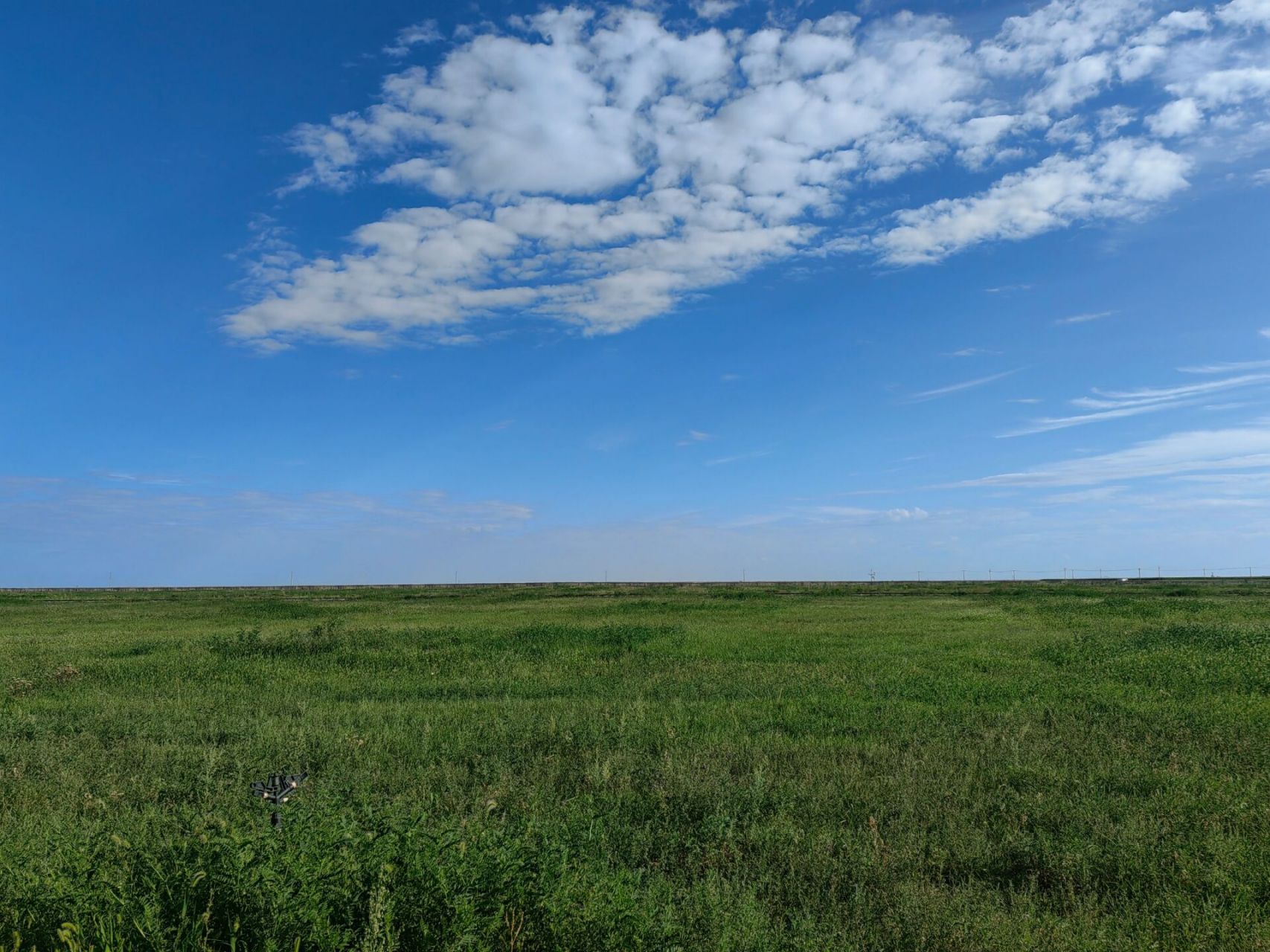 去鄂尔多斯草原玩啦  感觉相比苏泊罕大草原,鄂尔多斯草原的草地更大