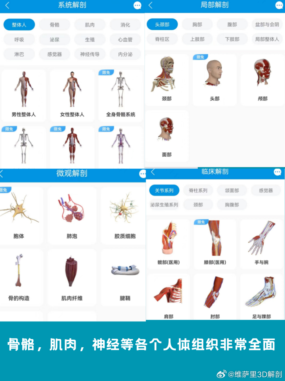 解剖大师##执业医考试# 一起来做题还有趣味的解剖大挑战,可以赢环种