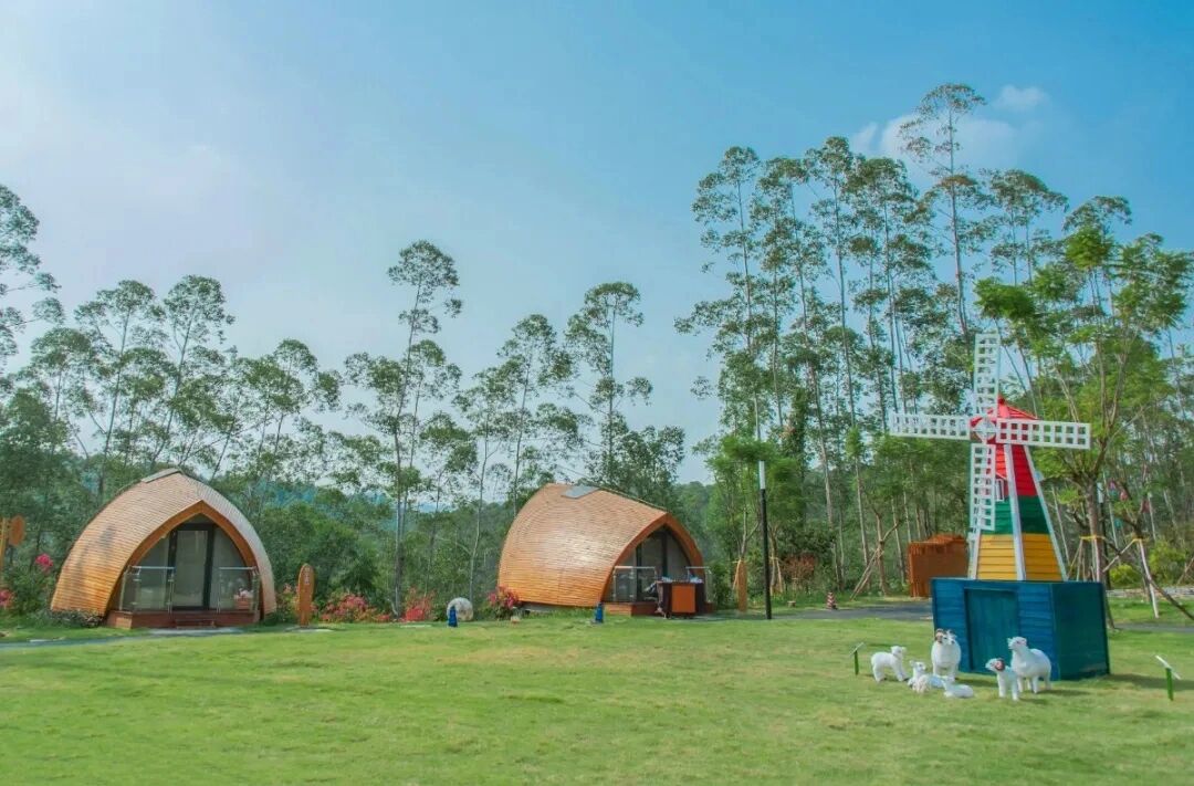 南宁9月秋行～高峰森林星空住宿露营 南宁高峰森林公园星空露营体验