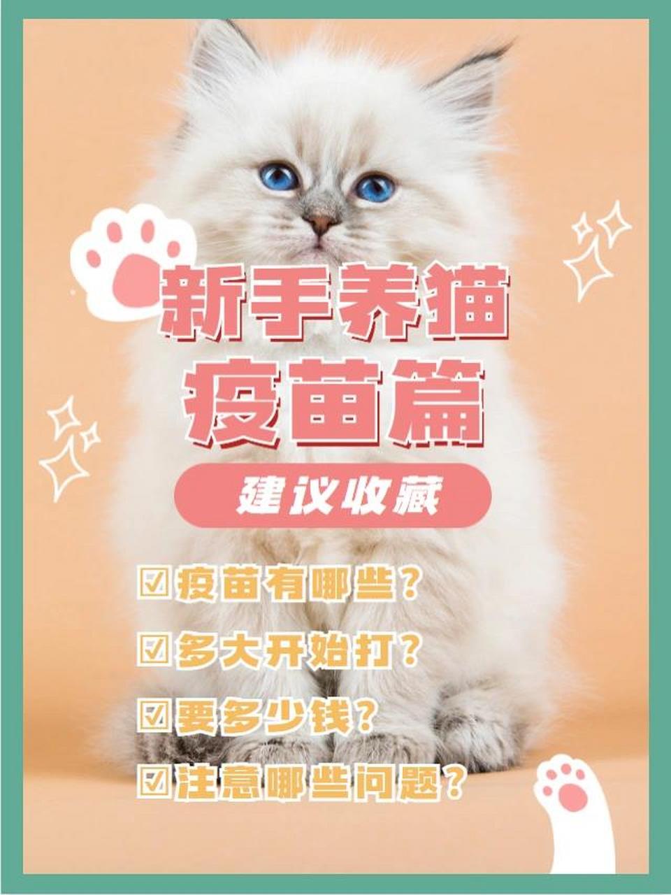 猫打疫苗多少钱图片