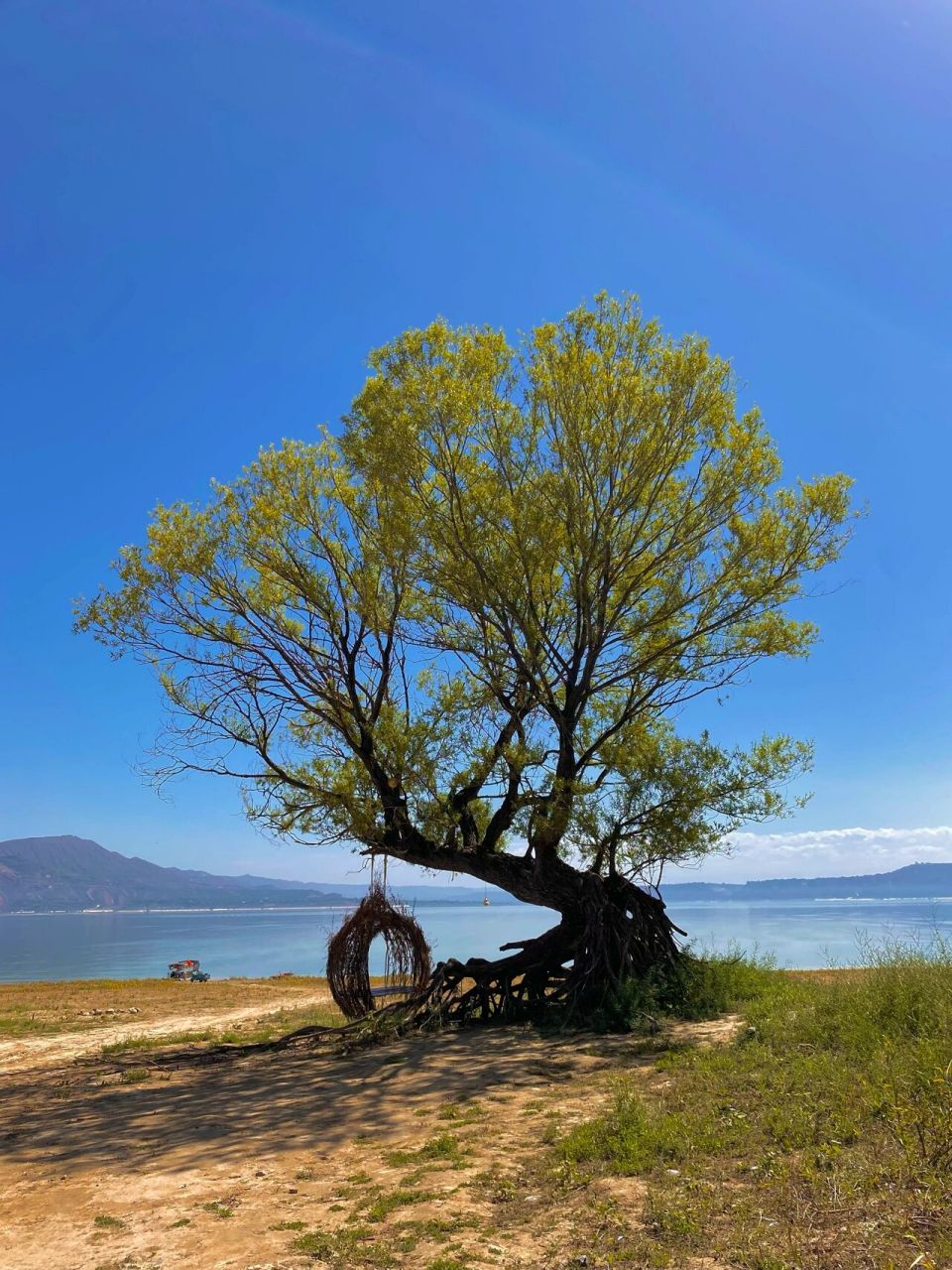 号称甘肃小洱海的刘家峡魏家坡 风景自然没得说 但在魏家坡一众农家乐