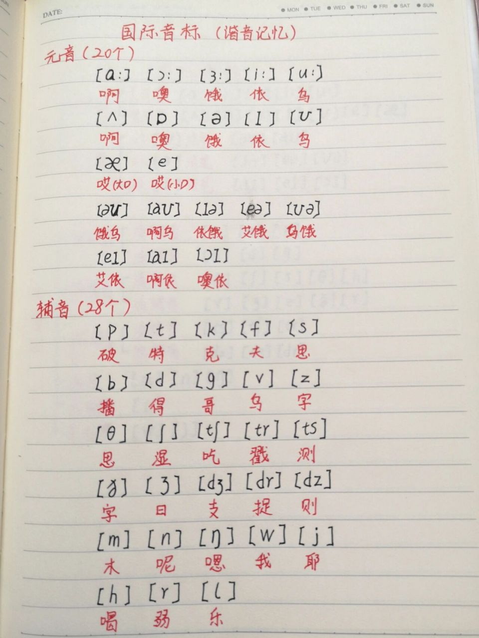 48个英语音标谐音记忆,帮助小学生攻克难关 英语国际音标加谐音学习