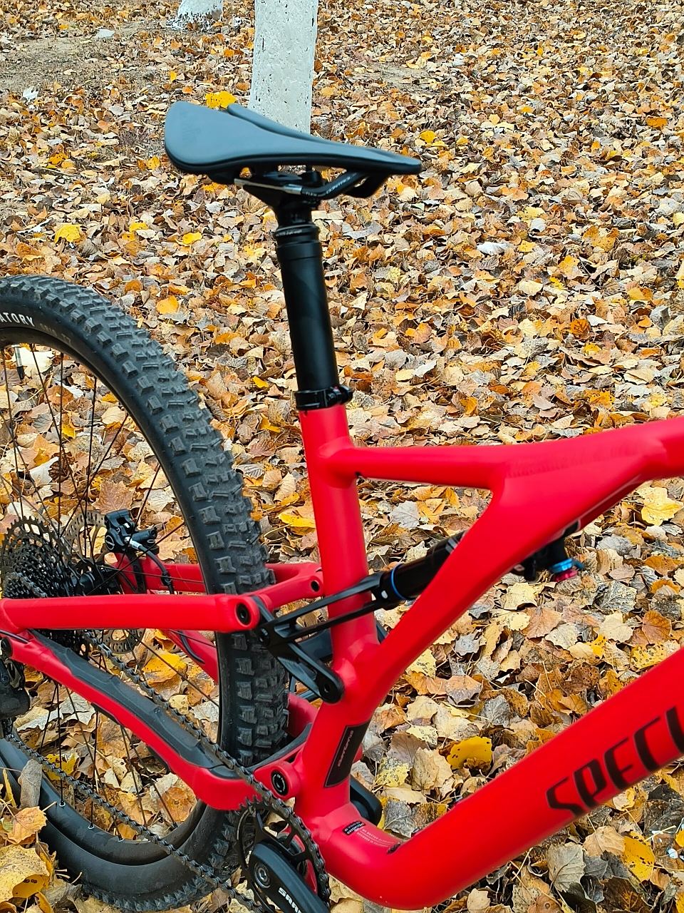 闪电stumpjumper林道软尾山地车 很帅又很快