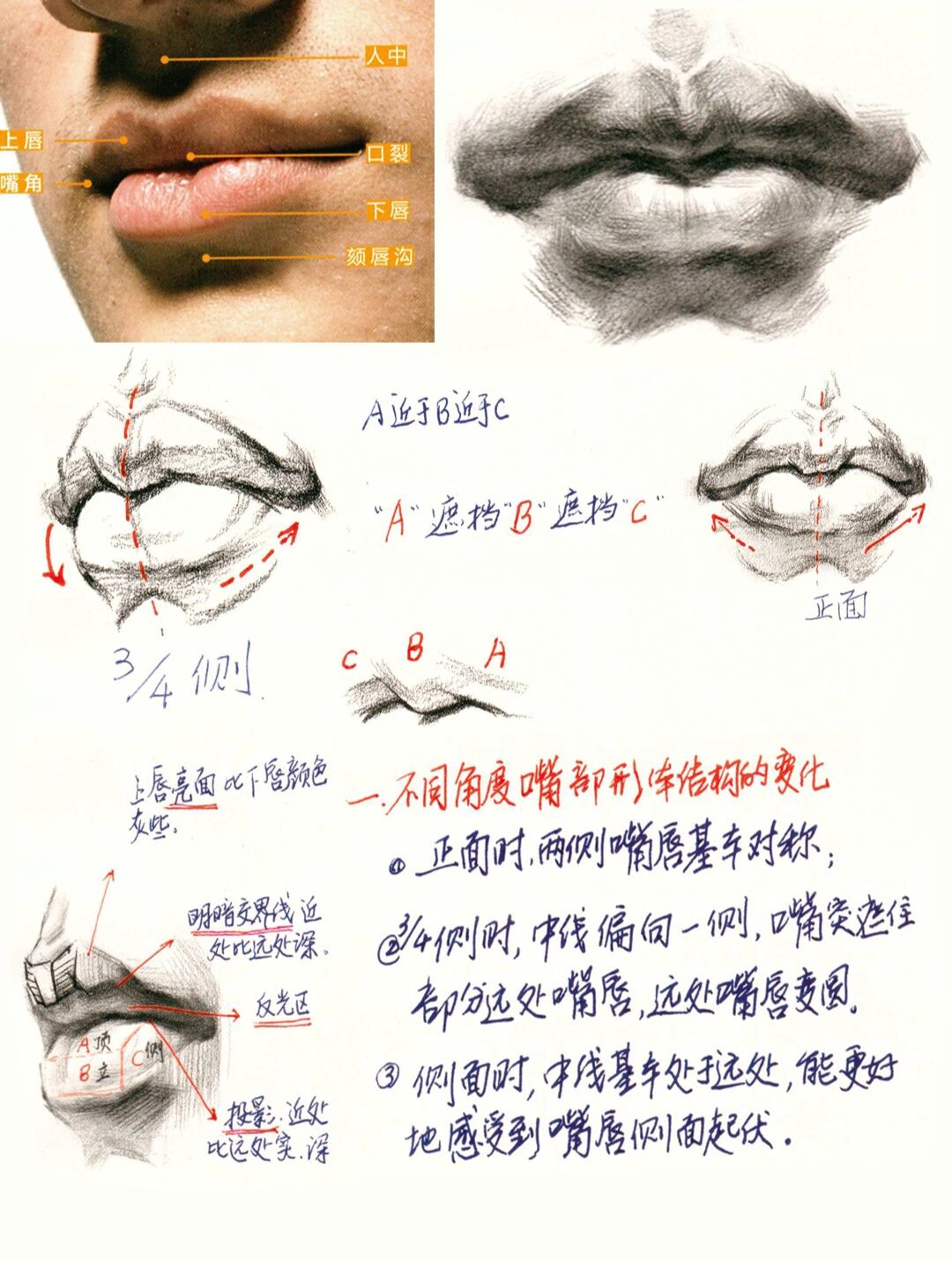 素描头像嘴巴画法步骤,超详细一篇就看懂