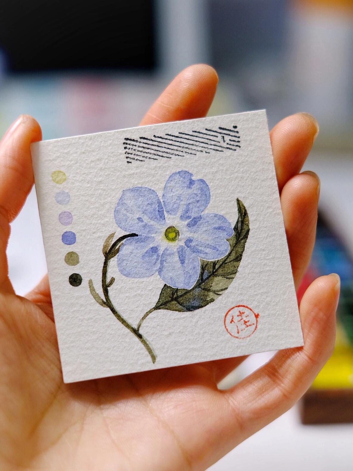 写生日常:水彩蓝色勿忘我