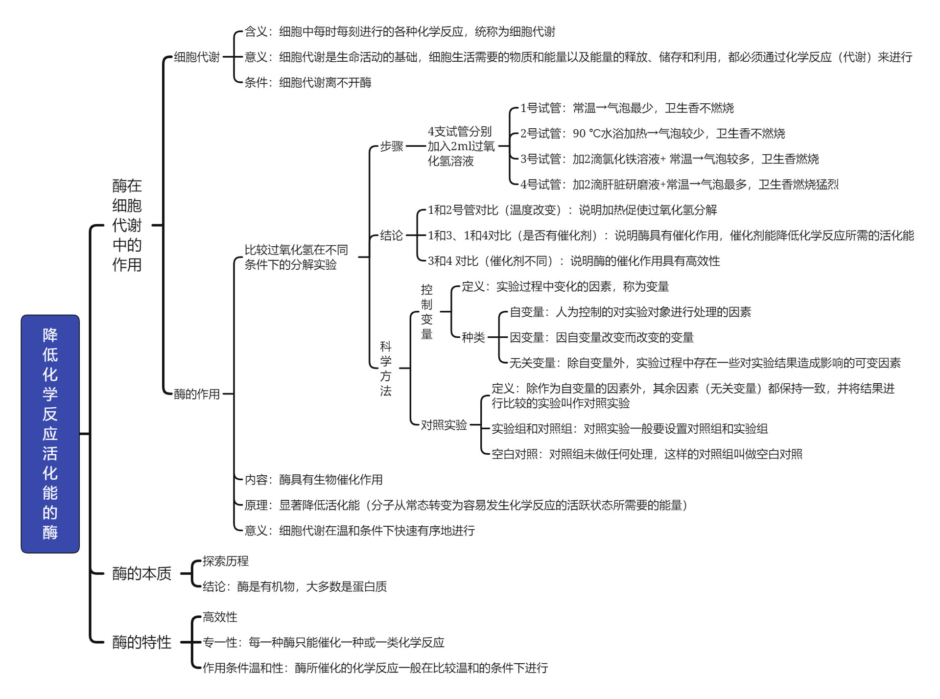 思维导图 高中生物必修一第五章