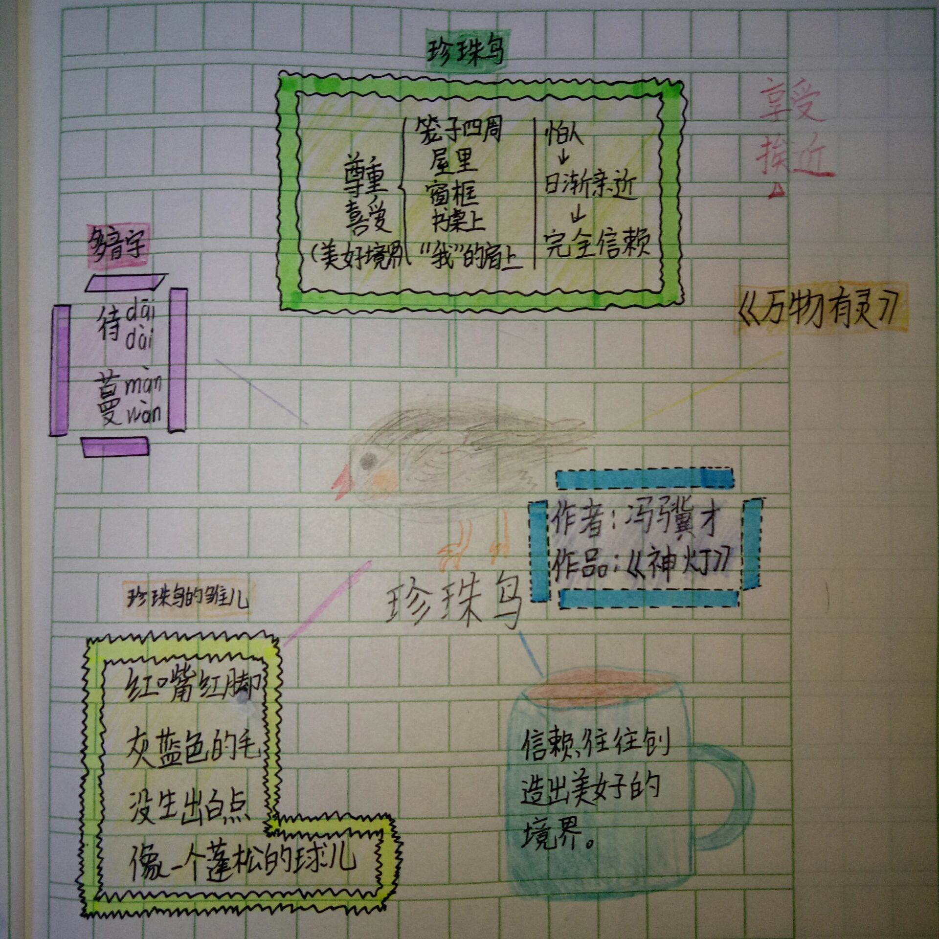 珍珠鸟的思维导图大全图片