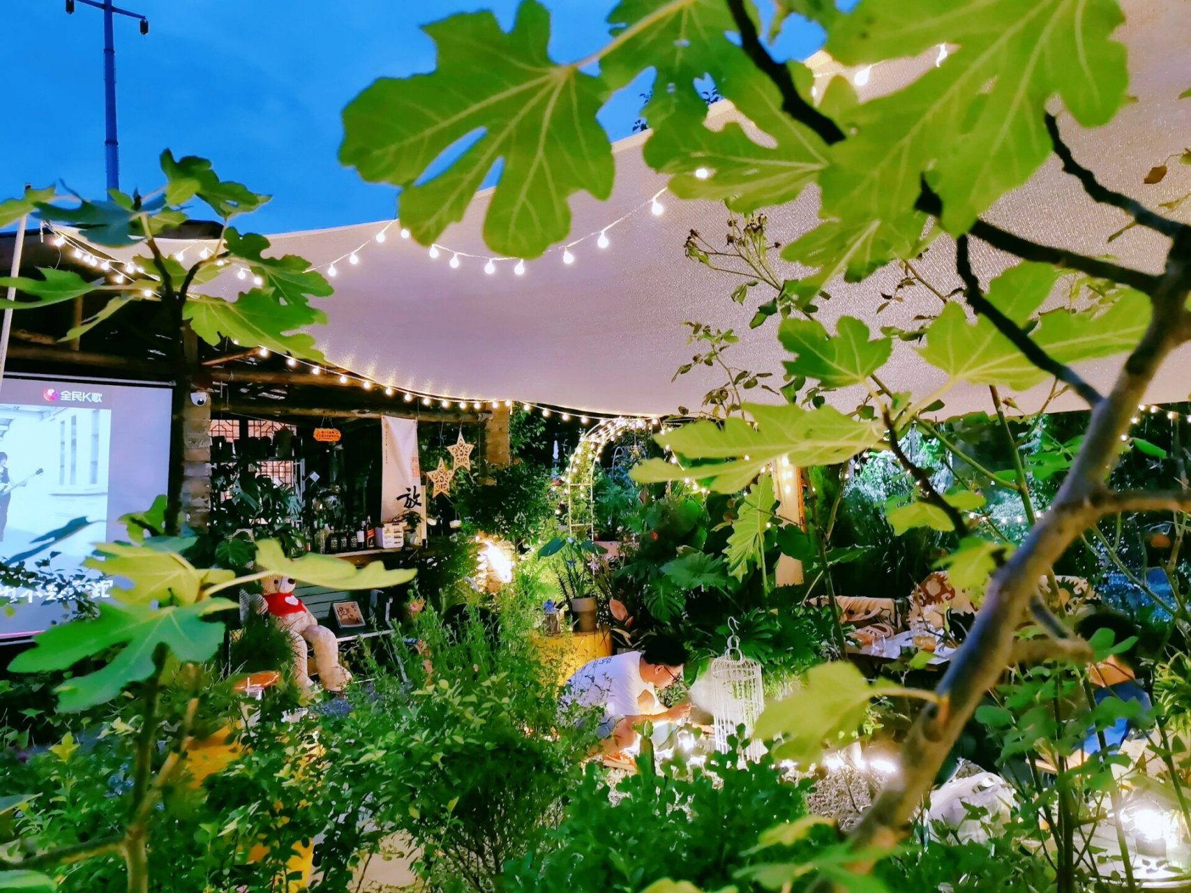 永川网红打卡集合地哦 —纵情山水间,寻夏日清凉处 —永川植物园小卉