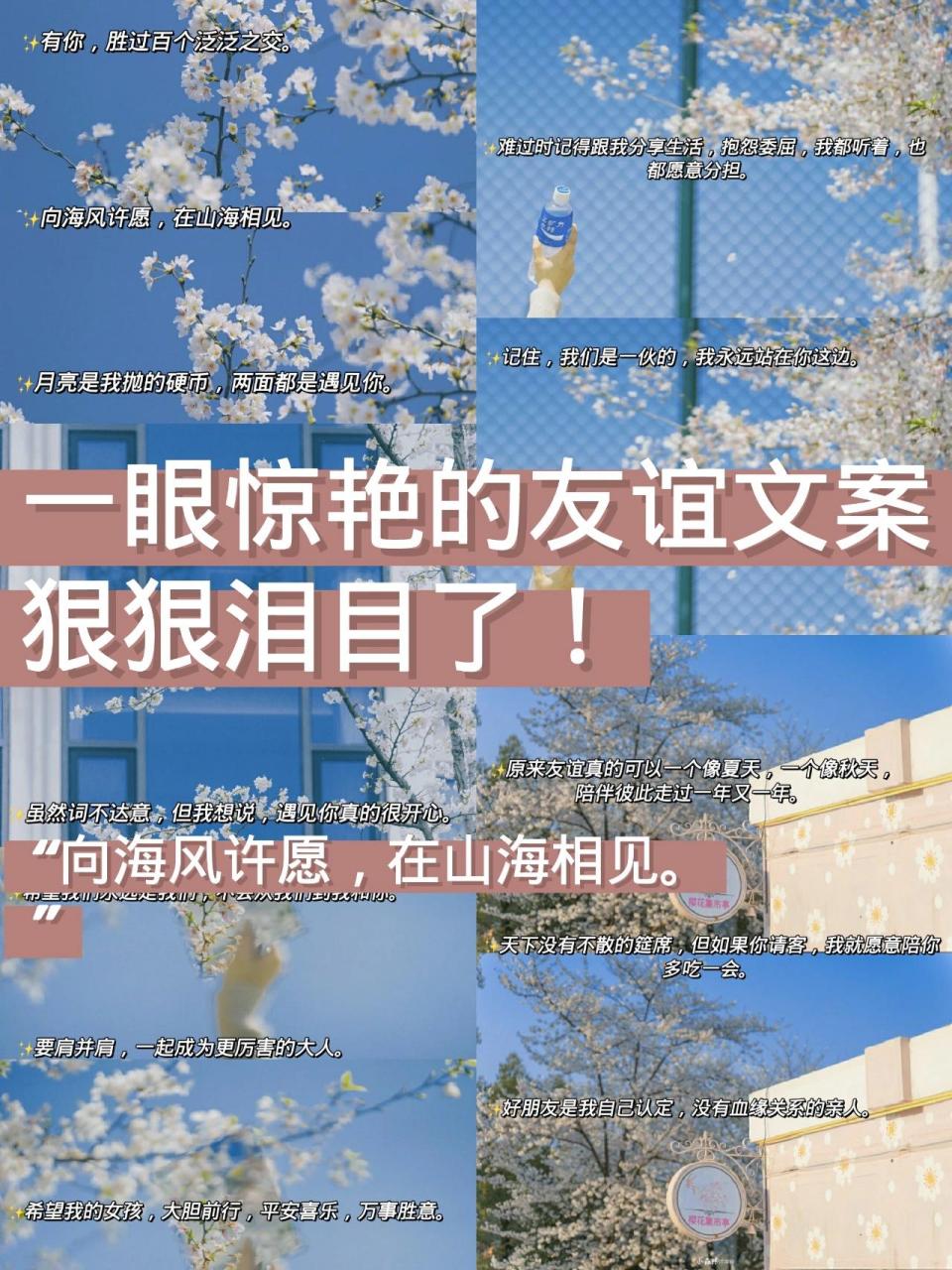 一眼被惊艳的友谊文案97温柔感溢出屏幕  96大家好,我是小影