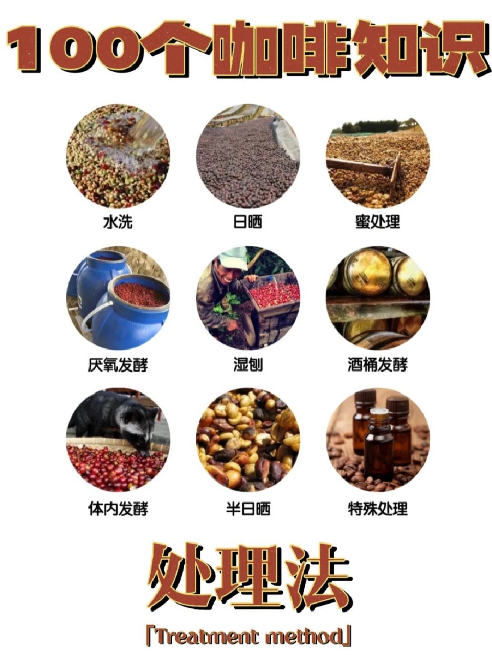 咖啡知识08一分钟认识9种咖啡处理法 #笔记灵感# #咖啡知识# 08