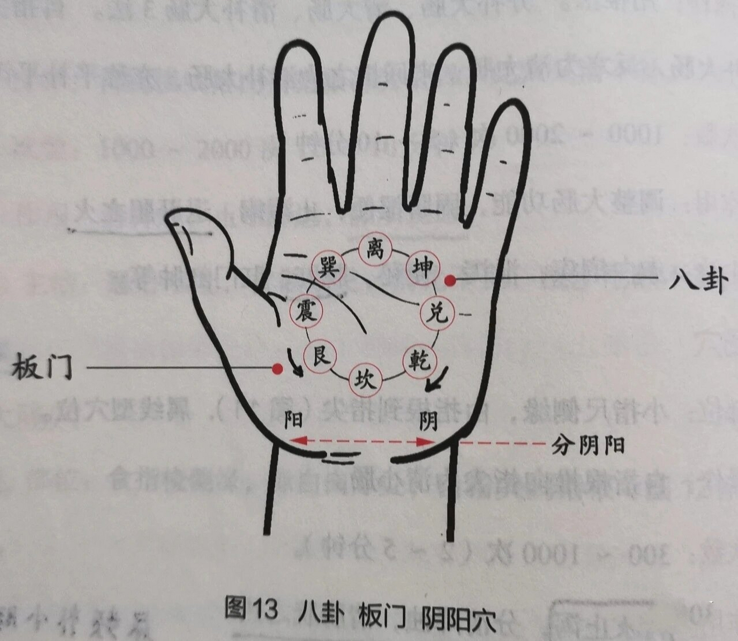 手掌八卦方位图图片