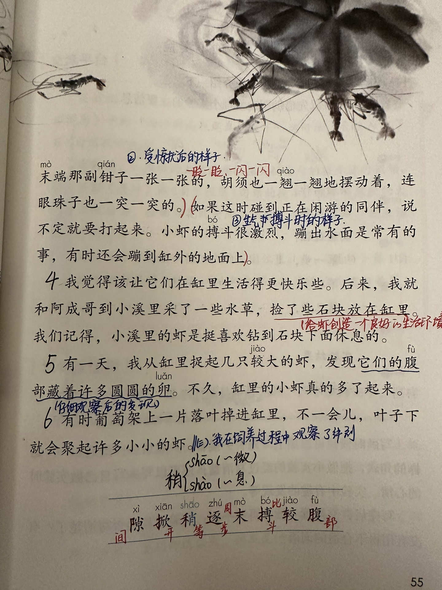 三下语文15课《小虾》备课笔记