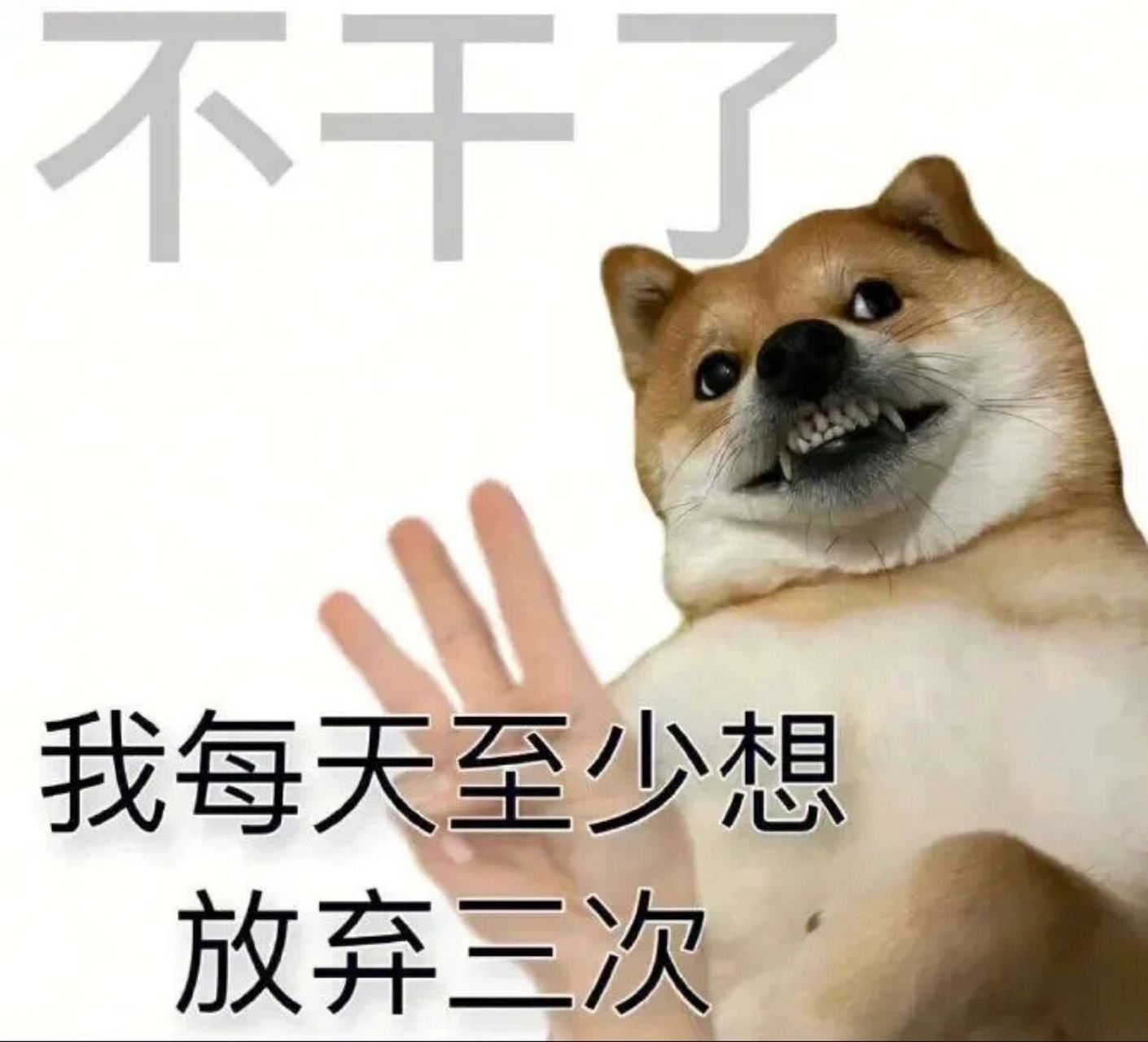 哪有不疯的?硬撑罢了0969♀15 打工人必备表情包