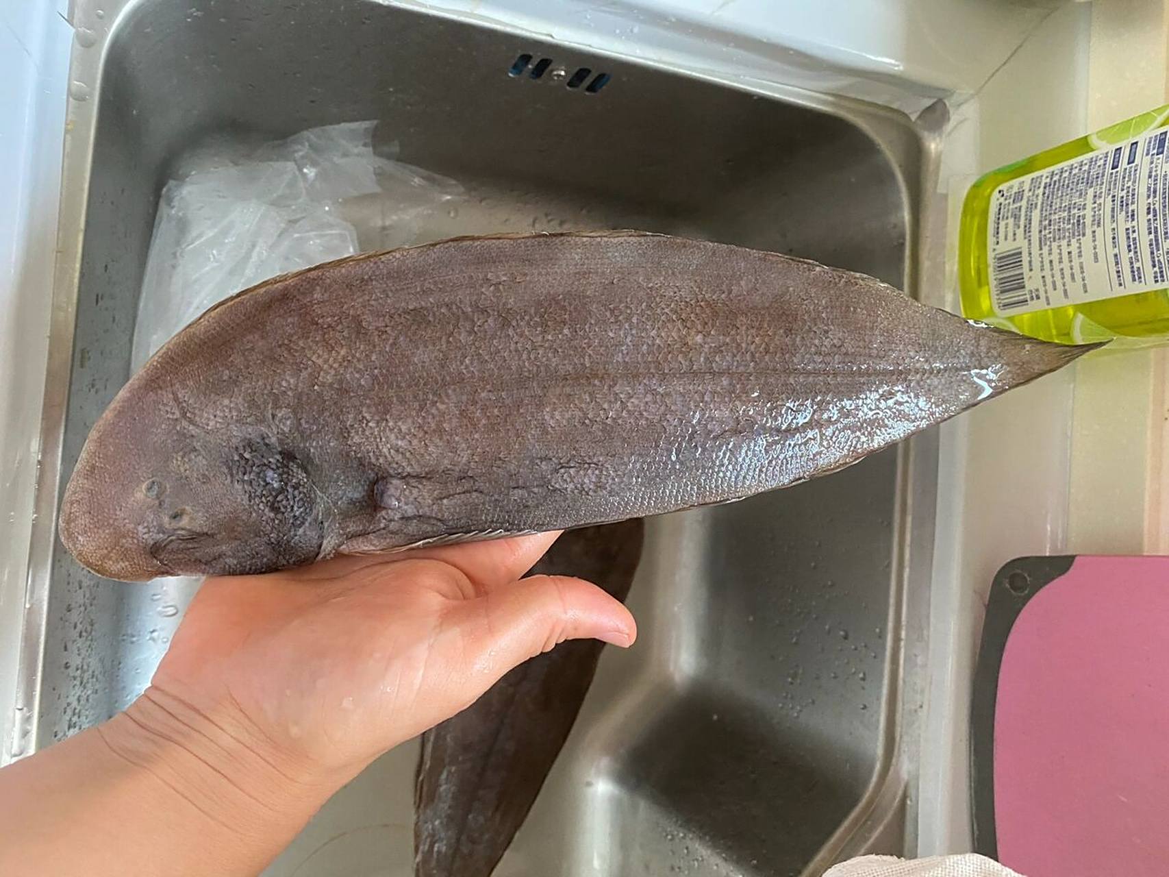 舌鳎鱼的处理方法 肉多刺少,野生海鱼,我家孩子的饭量,一人一条正合适