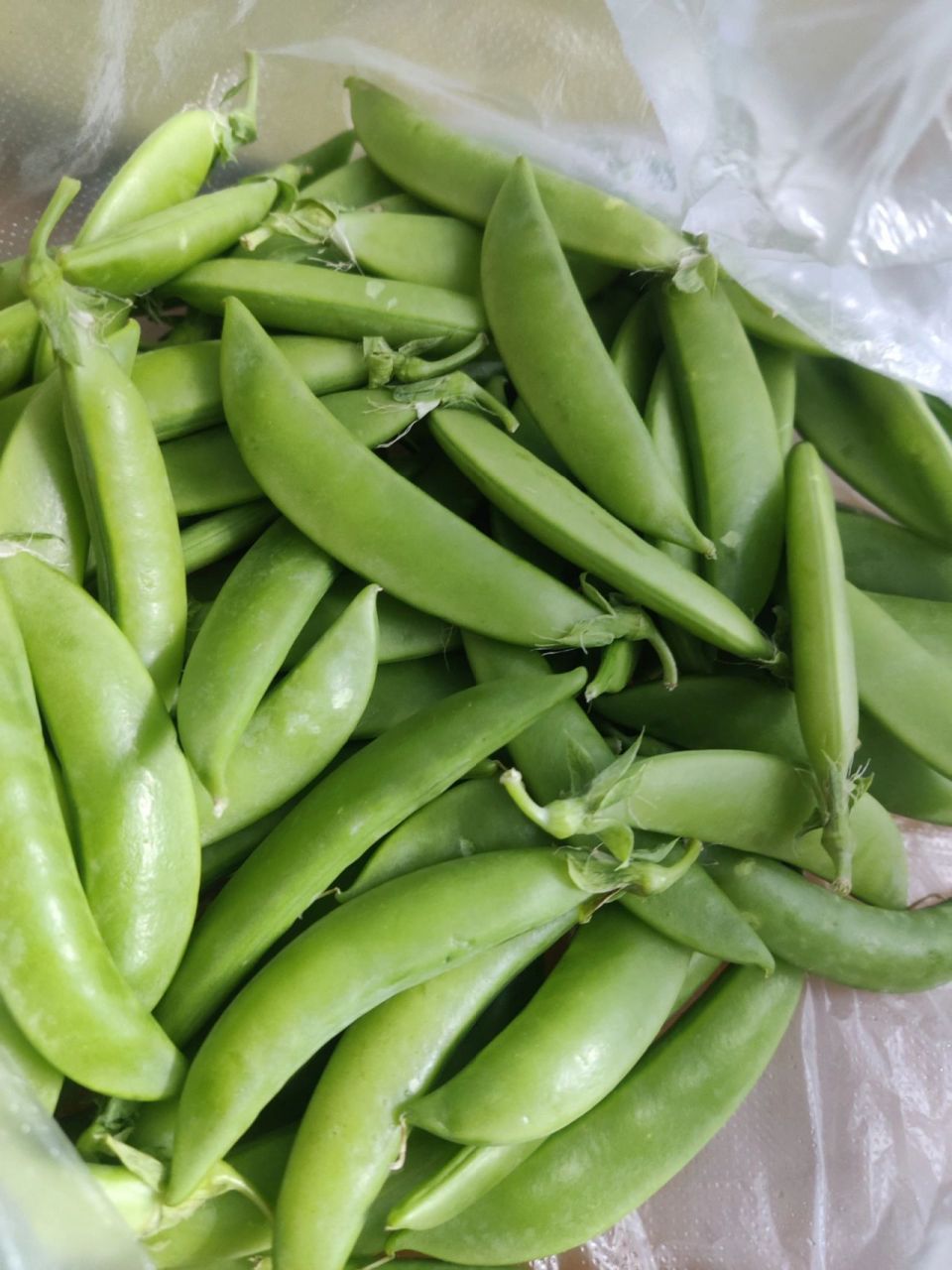 豌豆和甜豆是一个东西吗?