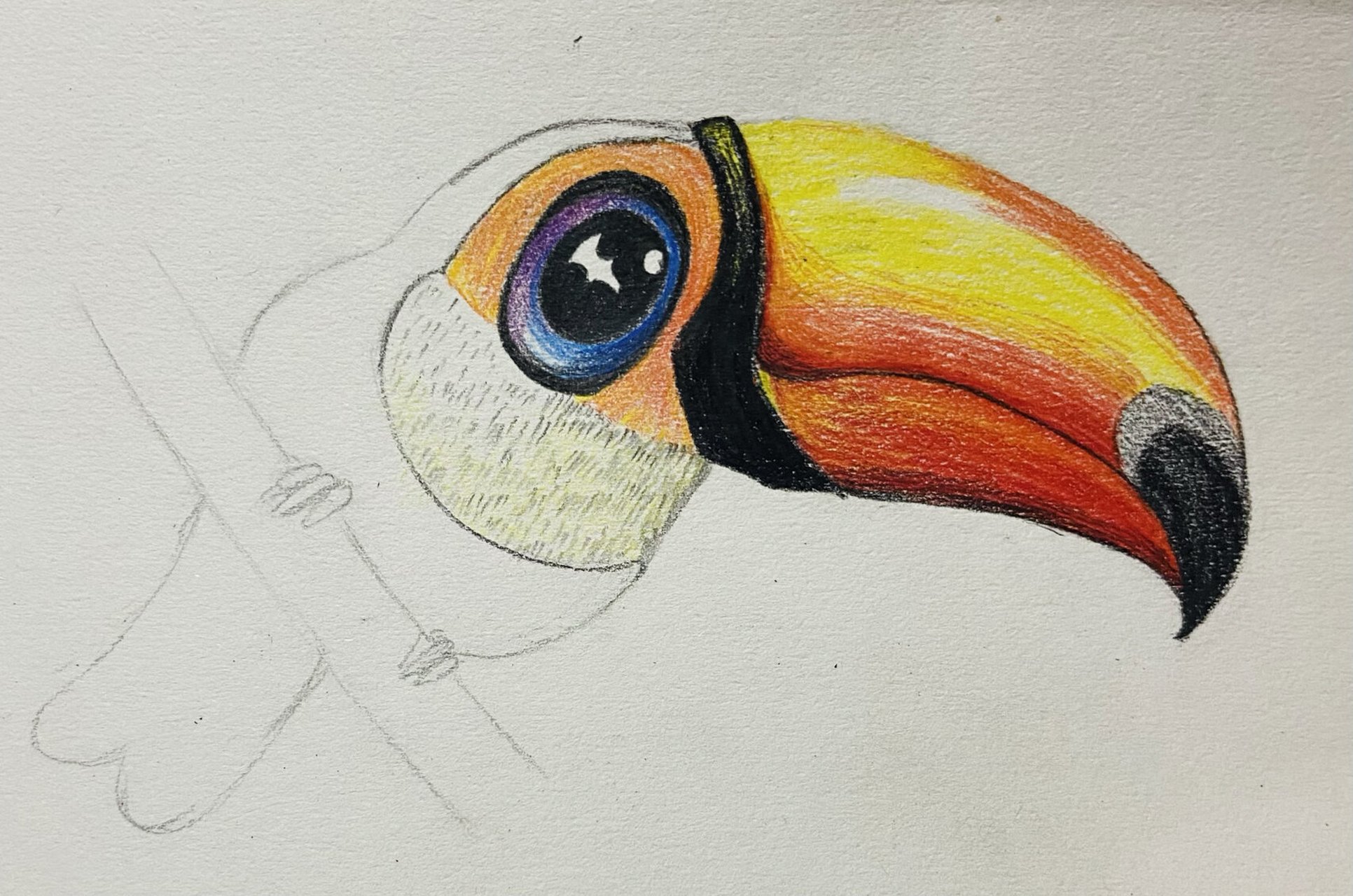 彩铅超简单的彩铅教程 大嘴鸟～ 纸张:普通的16开素描纸 笔:辉柏嘉