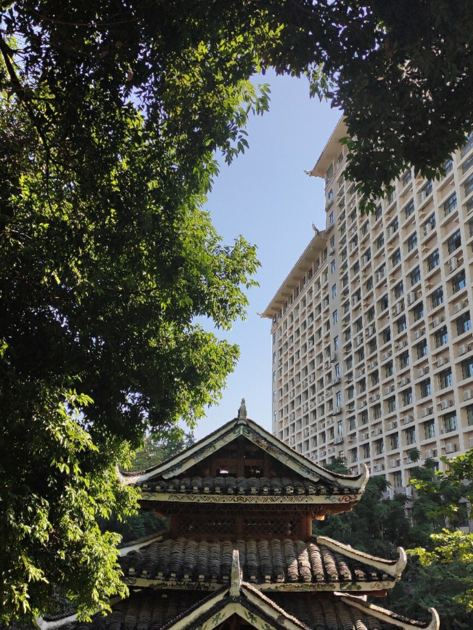 民大人眼里的广西民族大学东校区(老校区) 广西民族大学相思湖校区