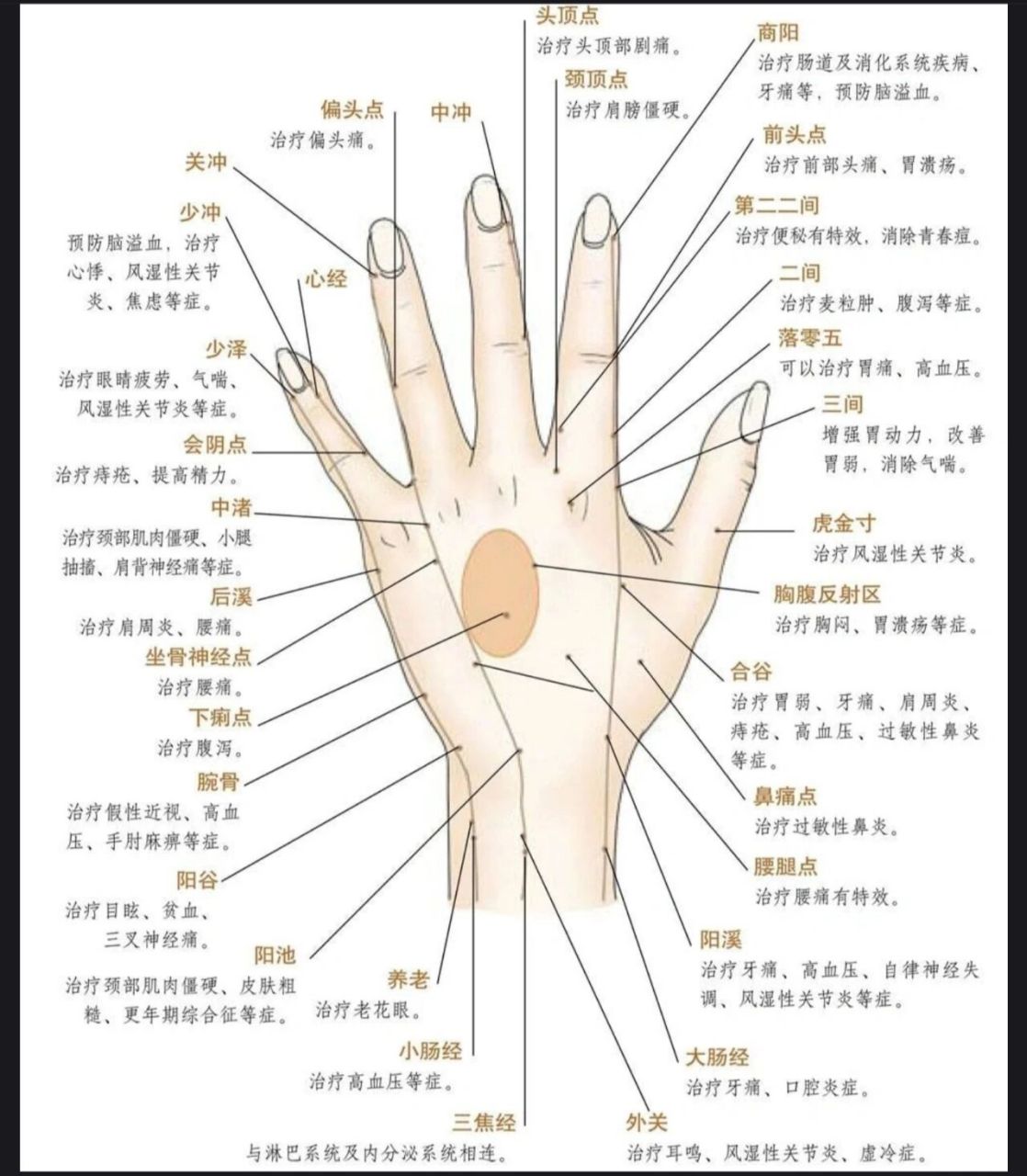 中医认为, 人的手掌上有心经,肺经和心包经3大经络,通过拍打手掌,振动