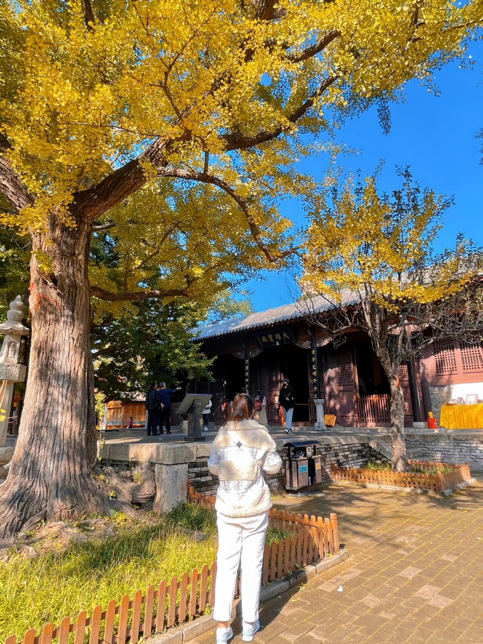 济南周边秋日银杏一日游——灵岩寺 上周五去了济南附近的灵岩寺,跟