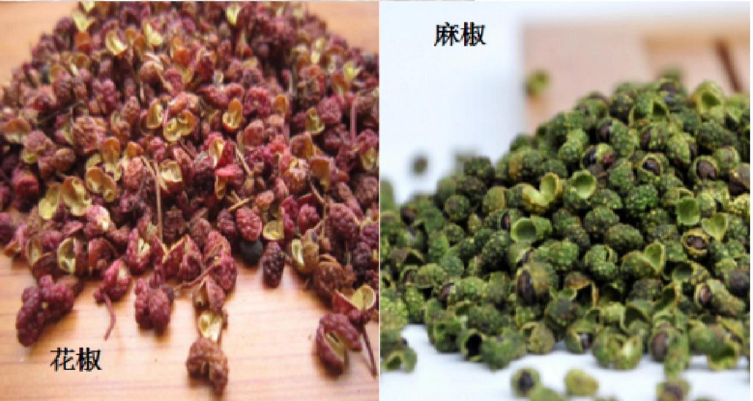 麻椒和花椒的区别 1,产地区别 麻椒:主产于贵州/四川甘孜阿坝和西藏
