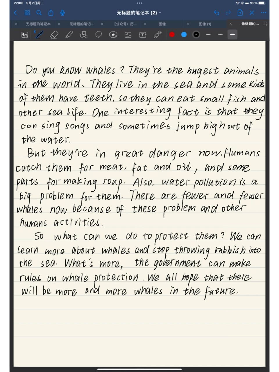 八下英语作文 保护鲸鱼   第一次在ipad上写英语作文 08有什么建议