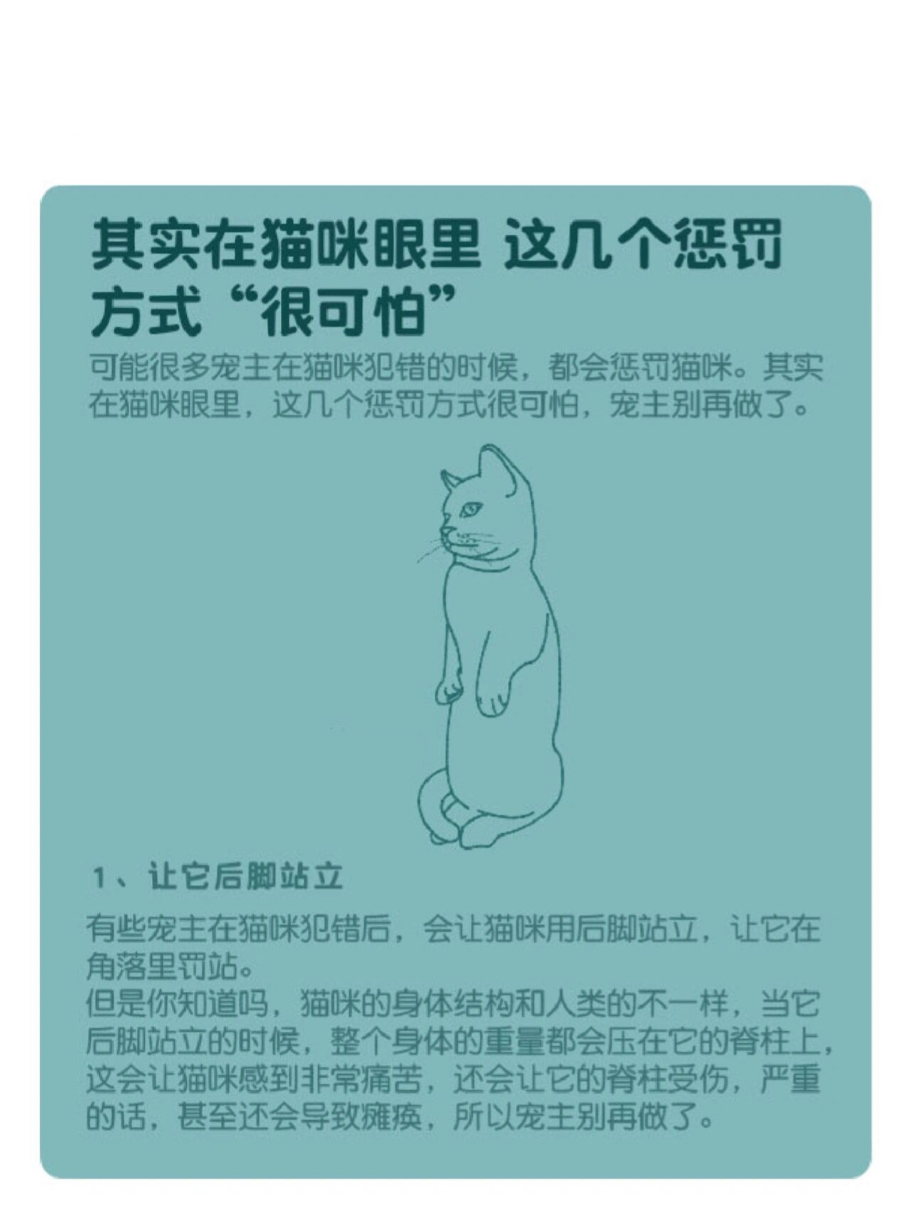 惩戒猫图片