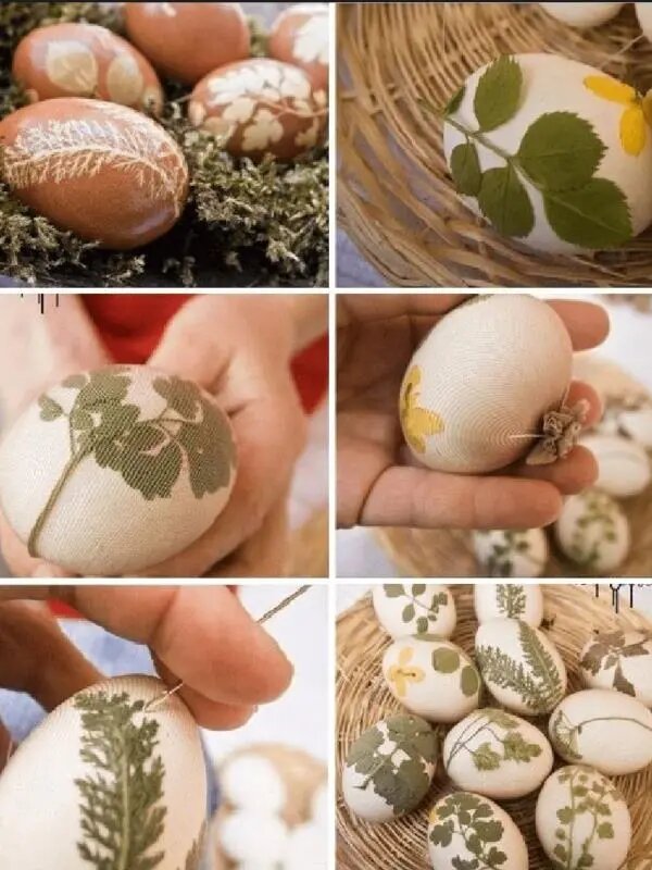 100个好玩的自然手工|用果蔬染色复活节彩蛋