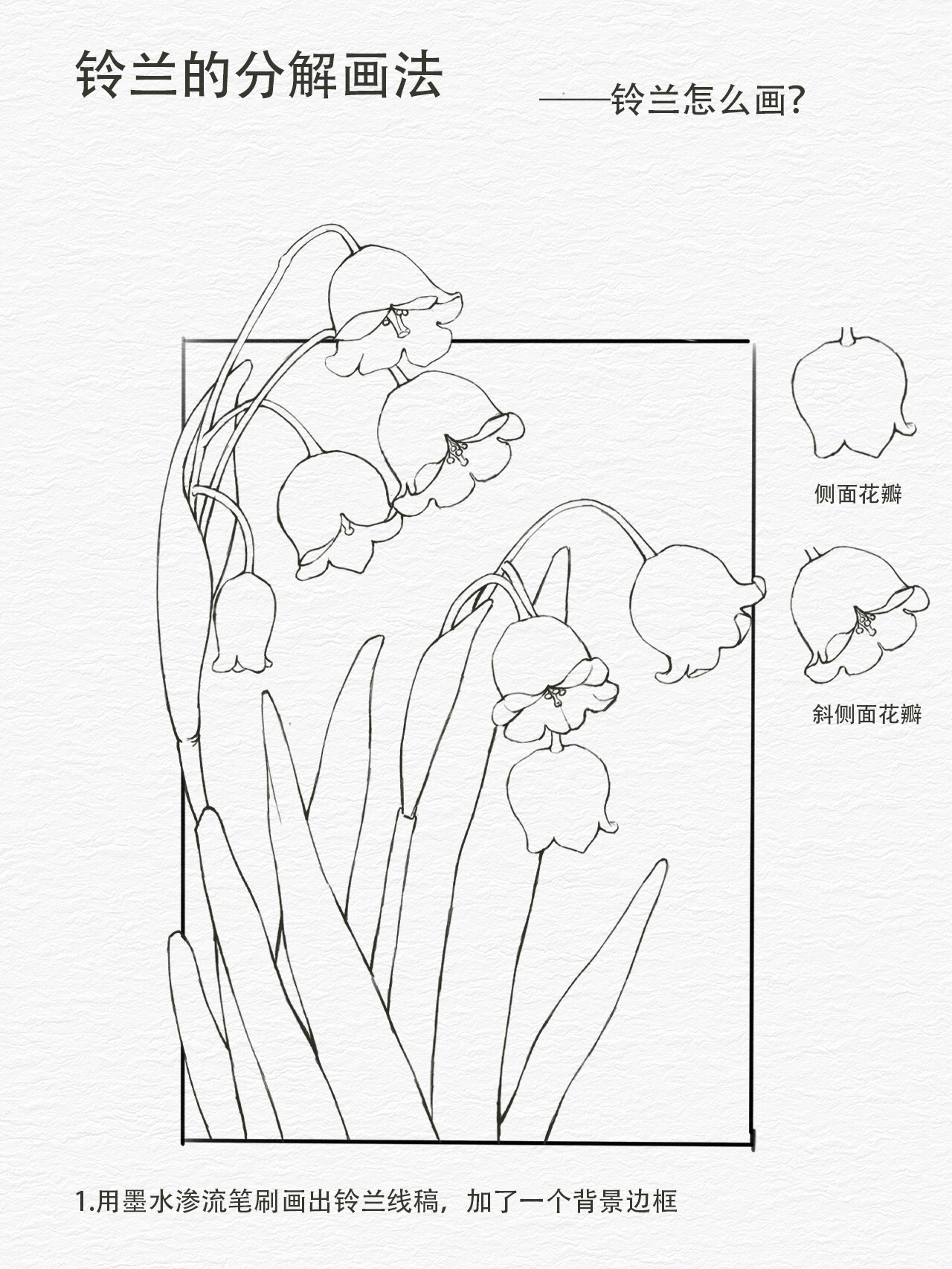 零基础学插画