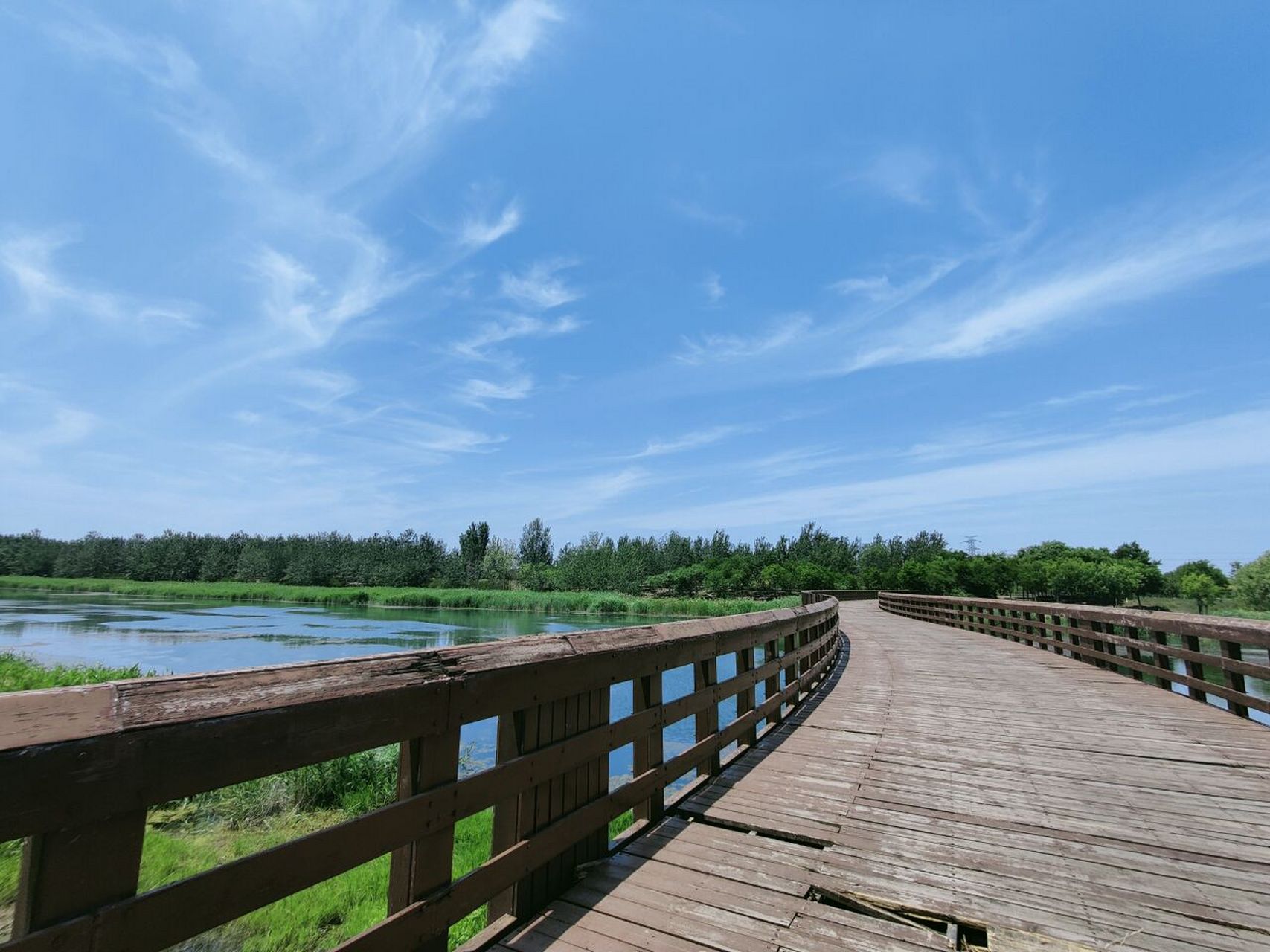 天津避暑 天然氧吧 北辰郊野公園 親子寵物 又到了天津30多度的高溫