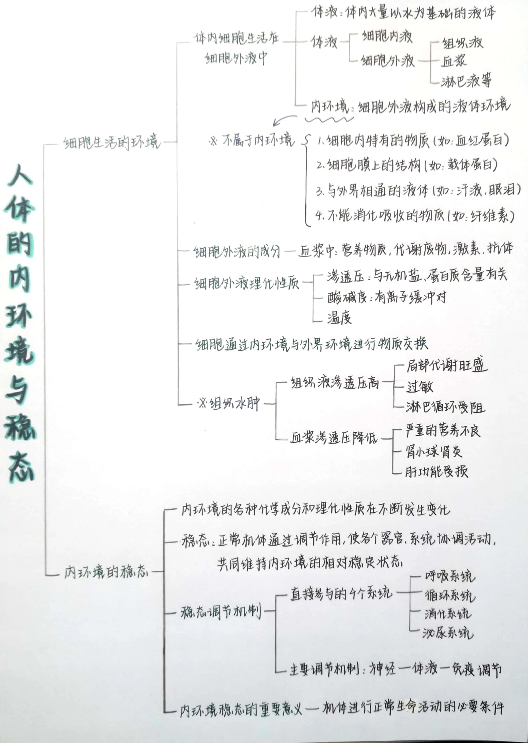 生物选修一思维导图「人体的内环境与稳态」