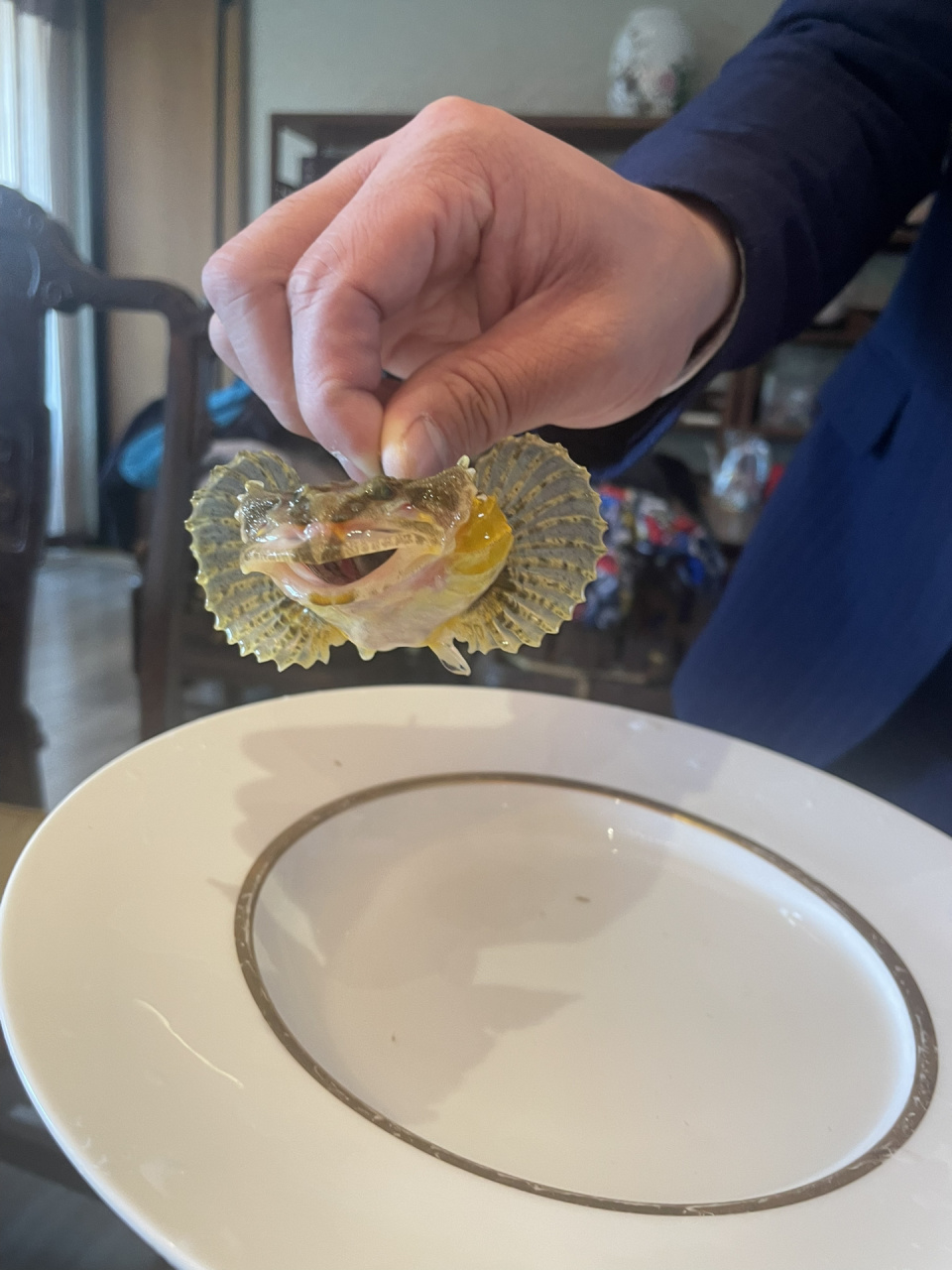 松江四腮鲈鱼 长在文人墨客诗里的名物,看着有点易怒