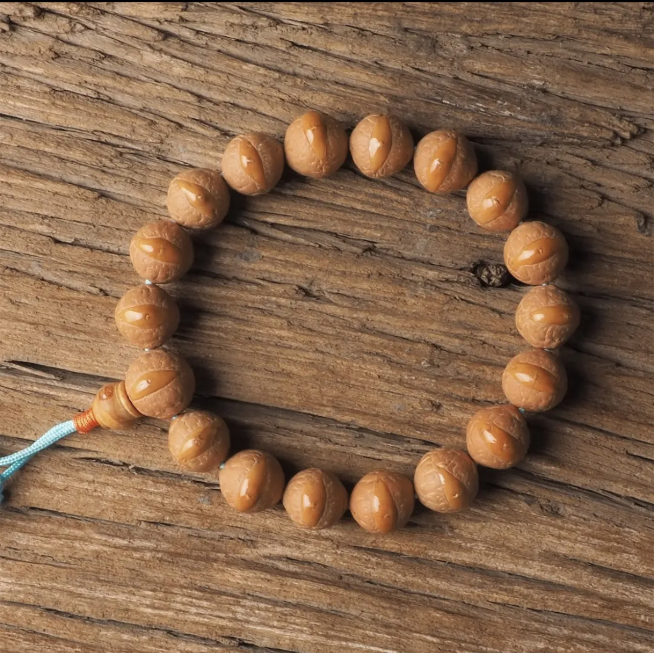 黄金眼凤眼菩提 很多朋友想入手凤眼菩提,可是因为了解不是很深,不