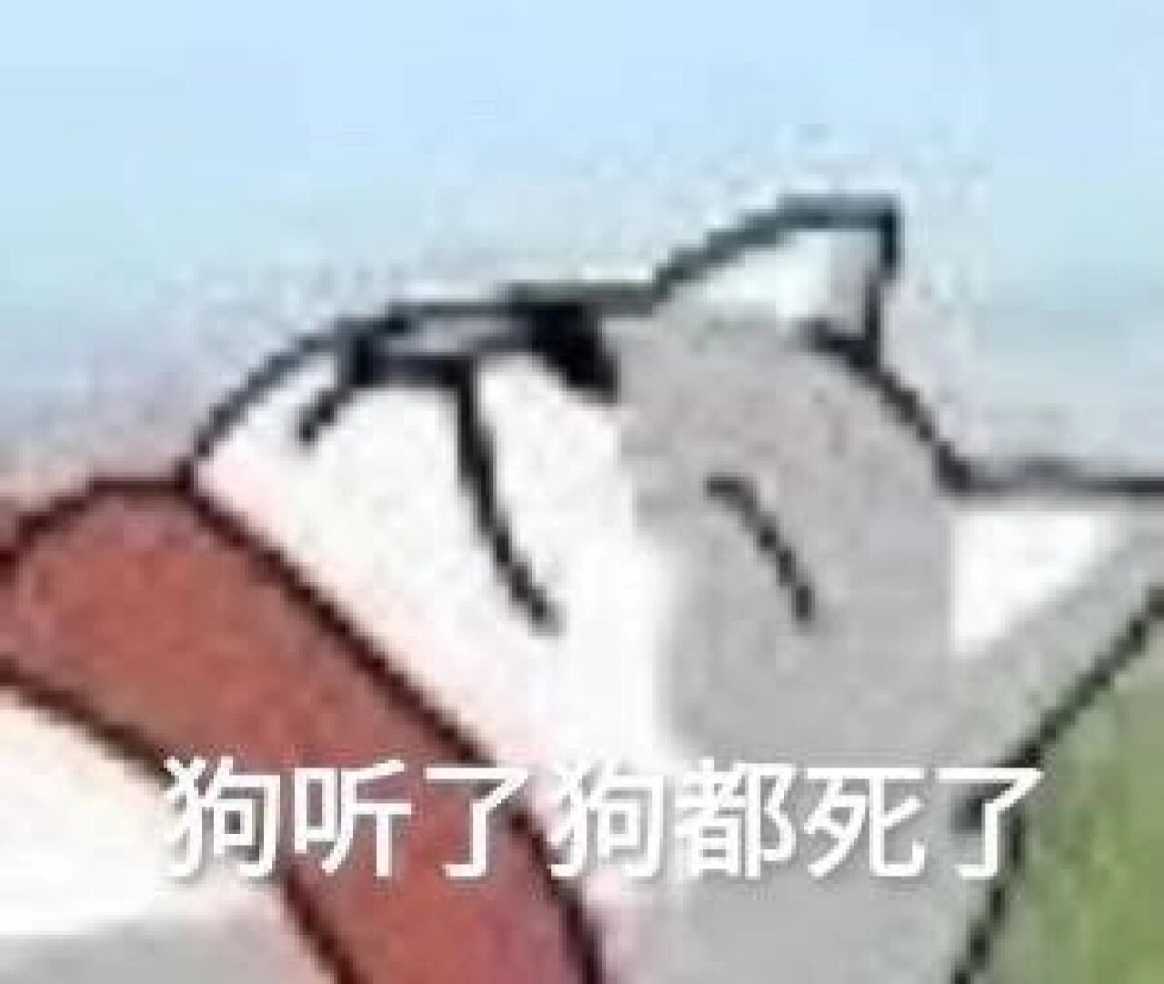 狗听了狗都死了