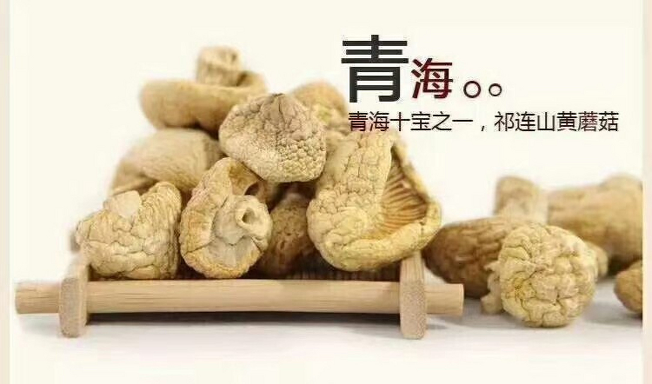 祁连黄蘑菇:  青海"十宝"之一祁连黄蘑菇 黄蘑菇,学名黄绿蜜环菌,又名