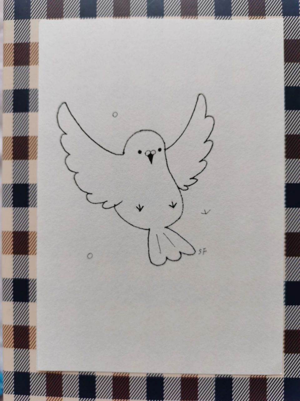 飞起来的小鸟的简笔画图片