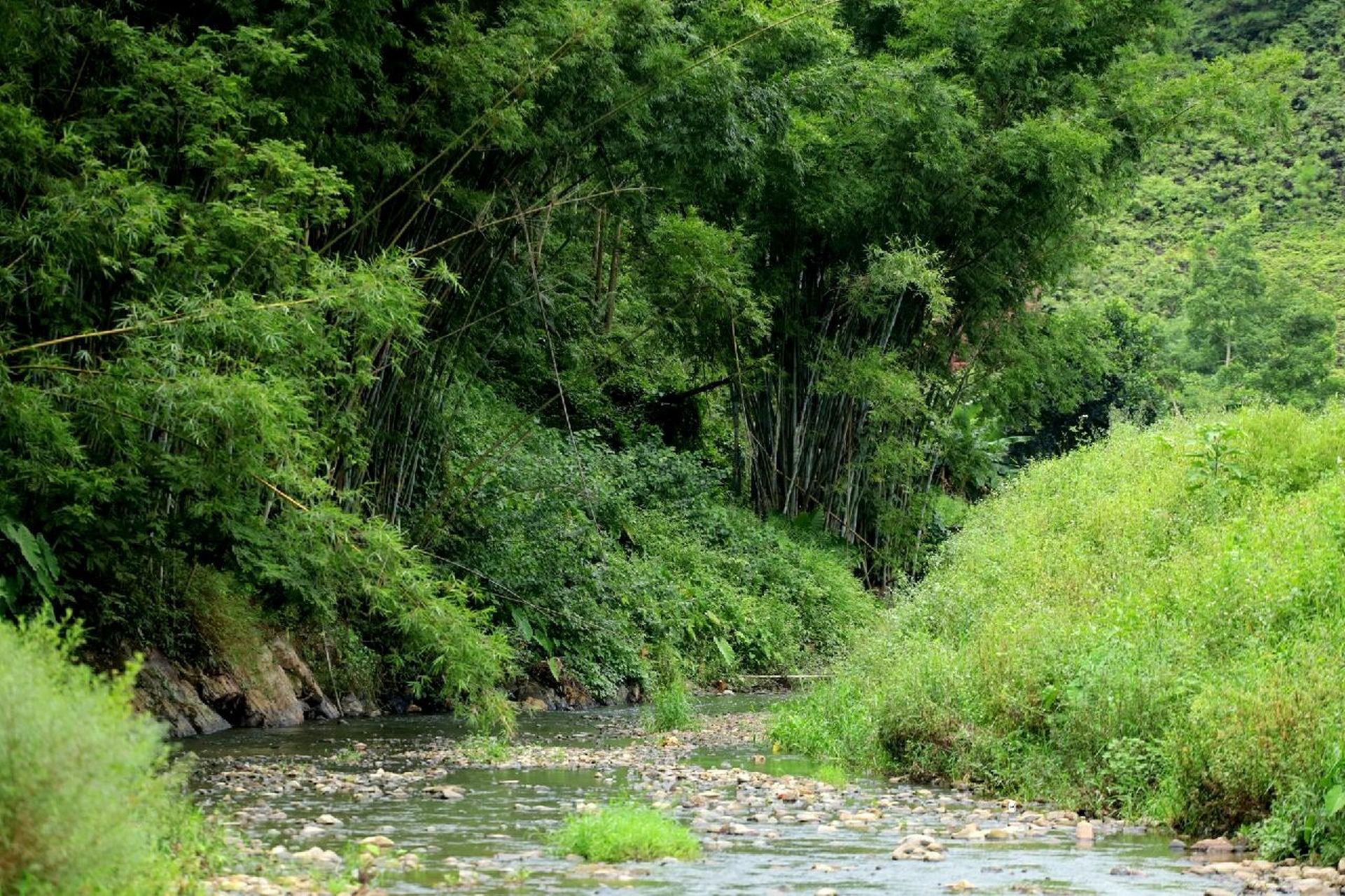 江门鹤山四堡水库