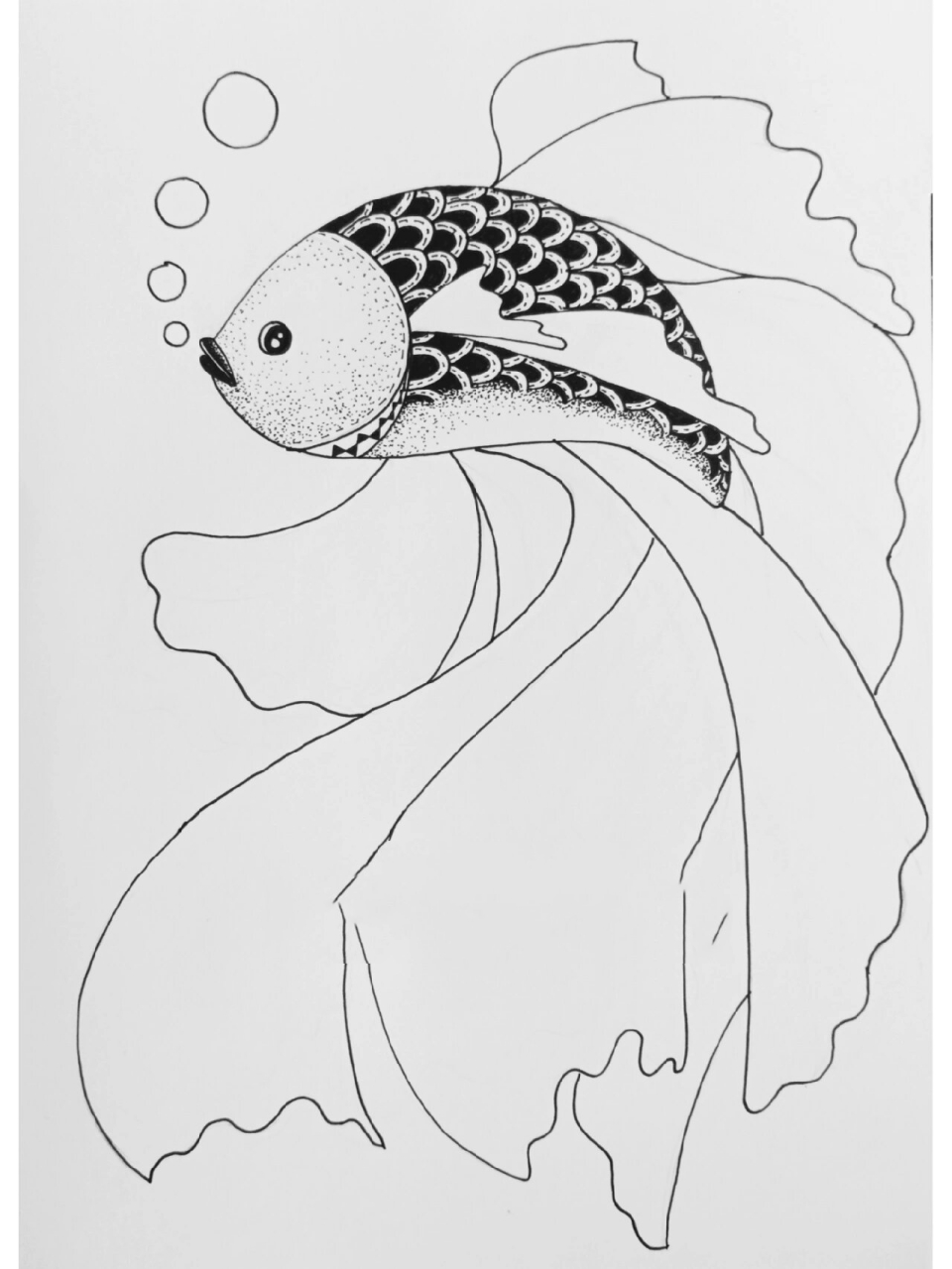 线描创作‖黑白线描画《第六条鱼96》 鱼是我超喜欢的画画素材之一