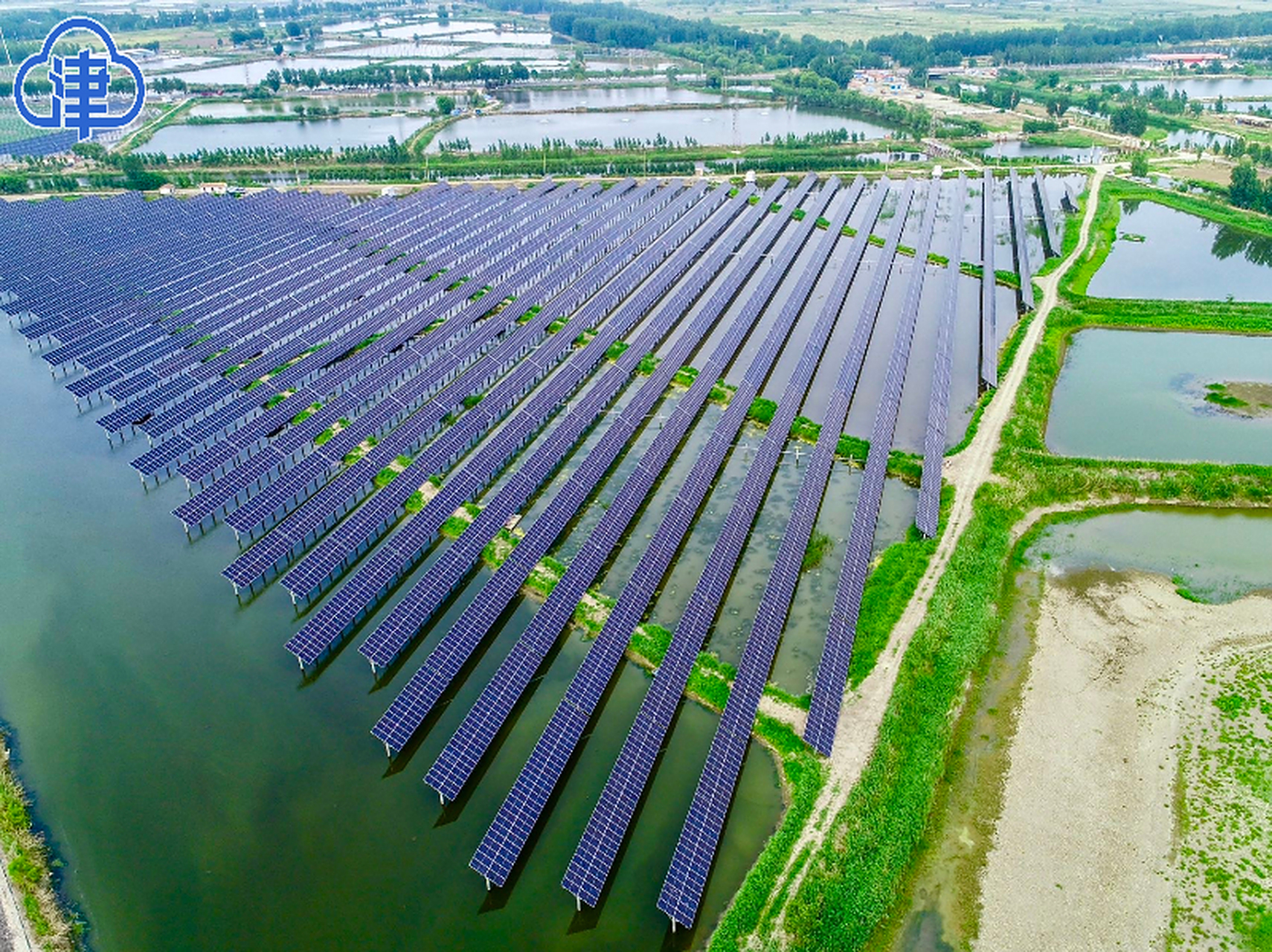 武清区崔黄口镇华信渔光互补光伏发电项目进入收尾阶段】由中国电建