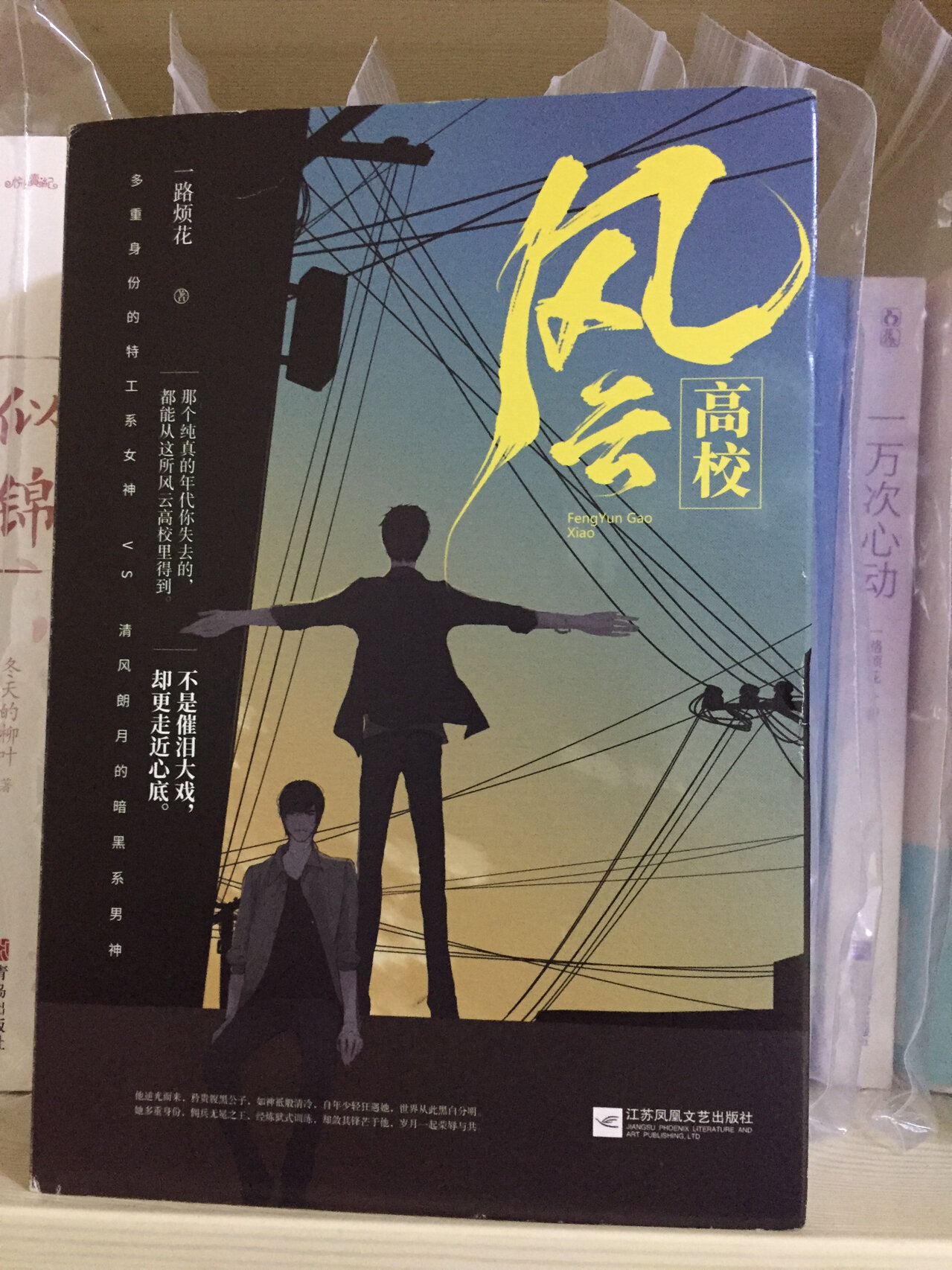 言情小说实体推荐(马甲文) 书名:《名门天后之重生国