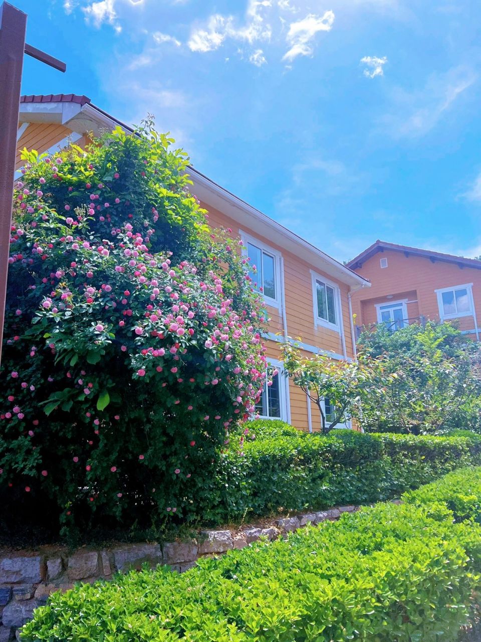 济南山青世界 | 美如画一样的户外拓展基地