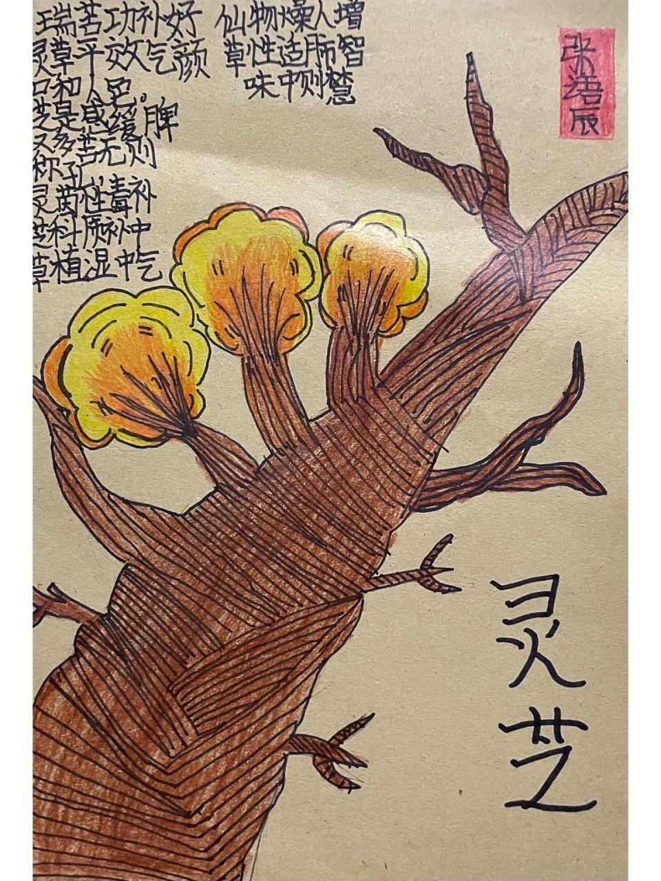 【5】线描彩铅画|灵芝96 78今天我们的主题是【灵芝】 911,知识